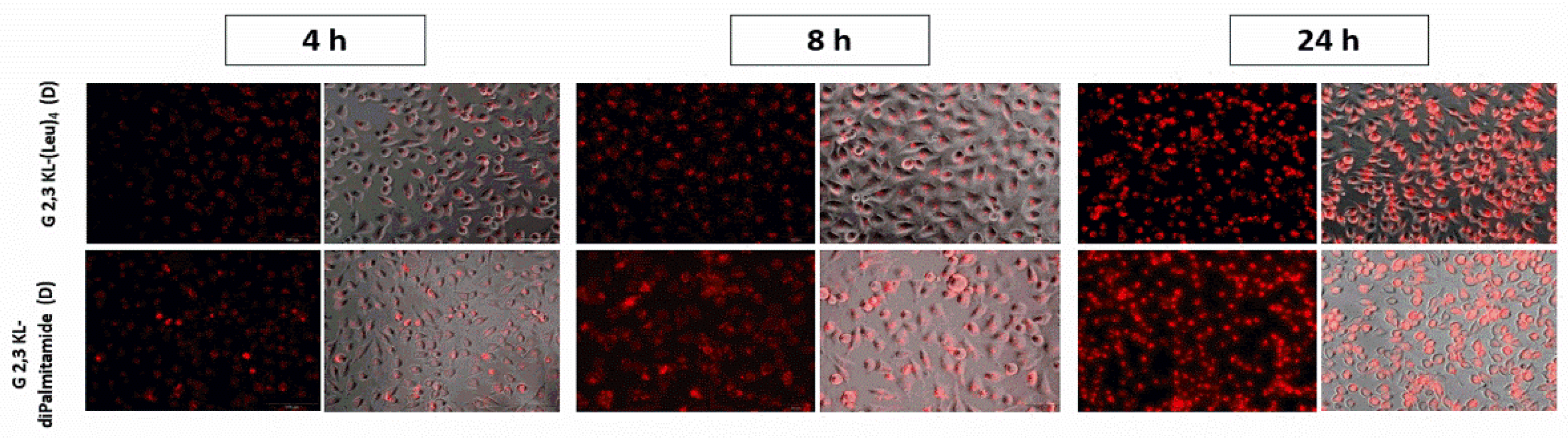 Pharmaceutics 13 00116 g004