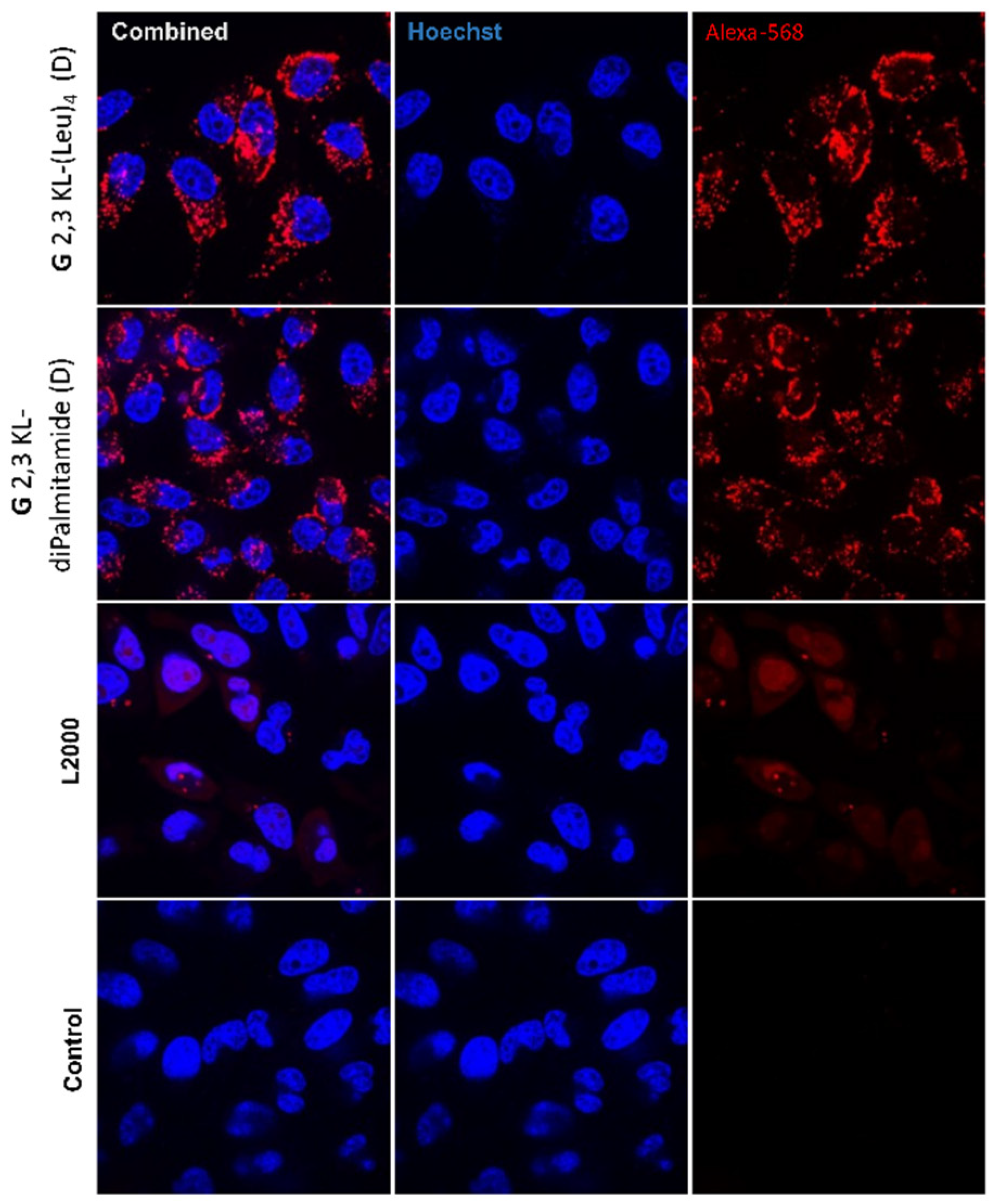 Pharmaceutics 13 00116 g009