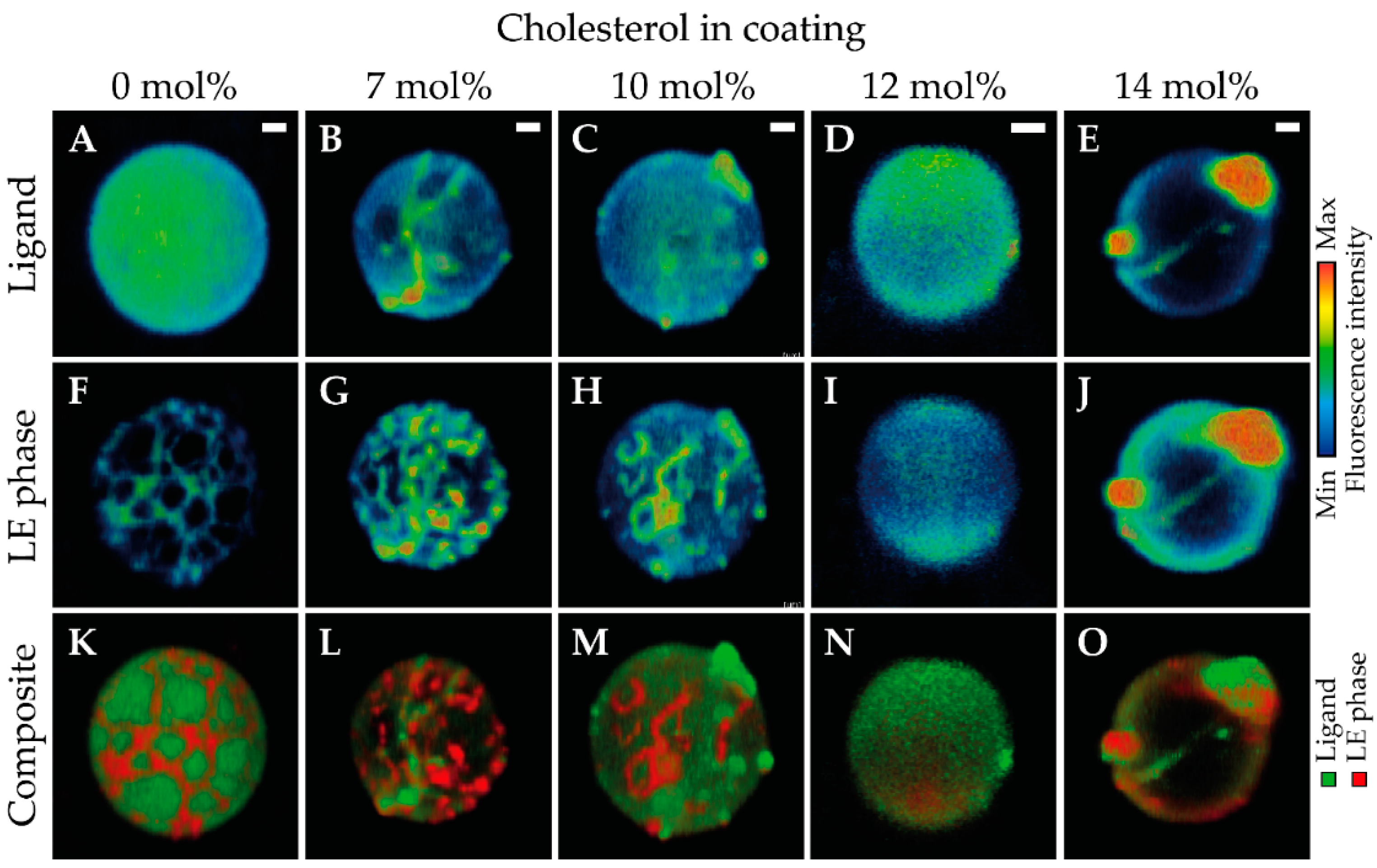 Pharmaceutics 13 00119 g002