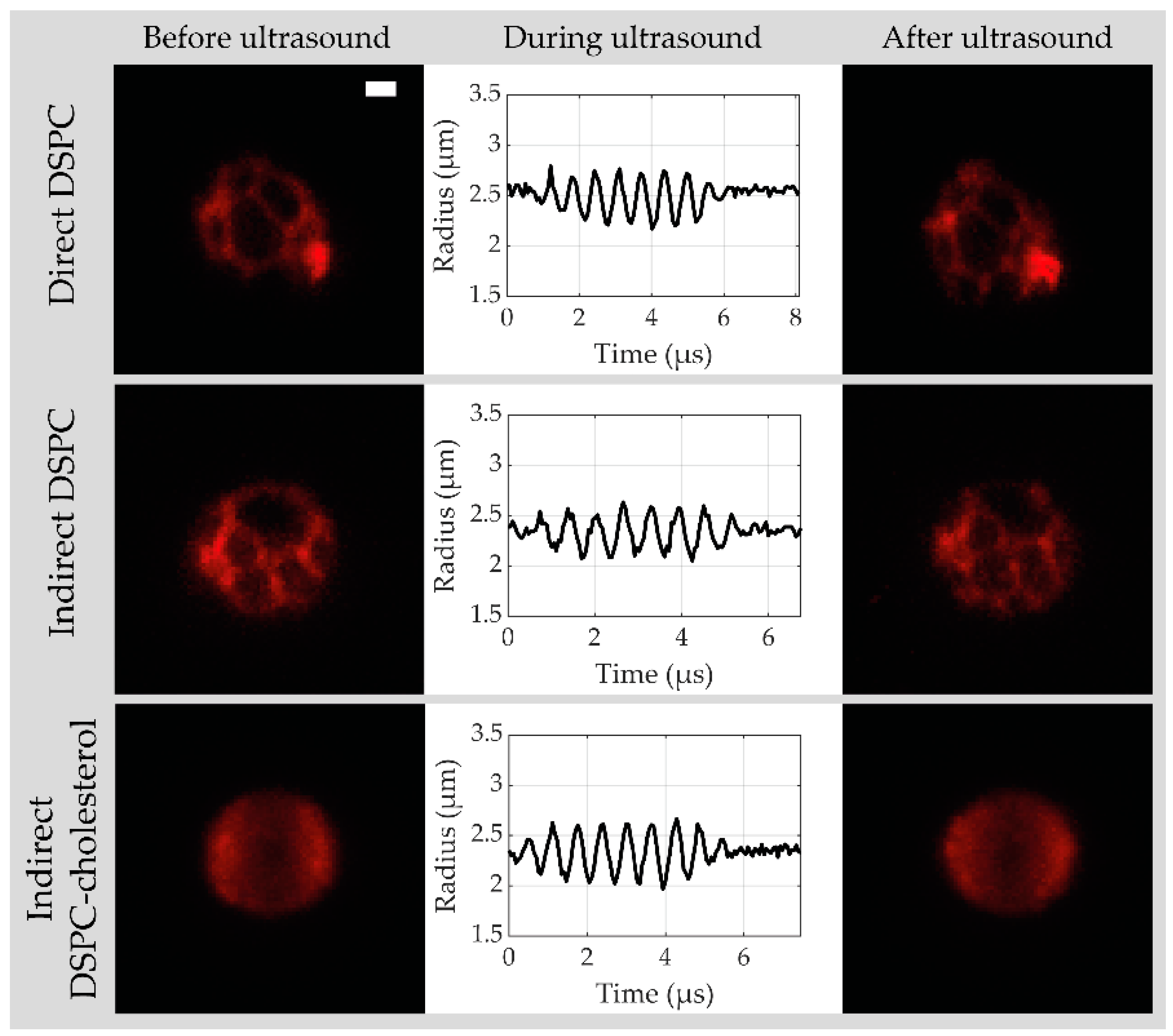 Pharmaceutics 13 00119 g005