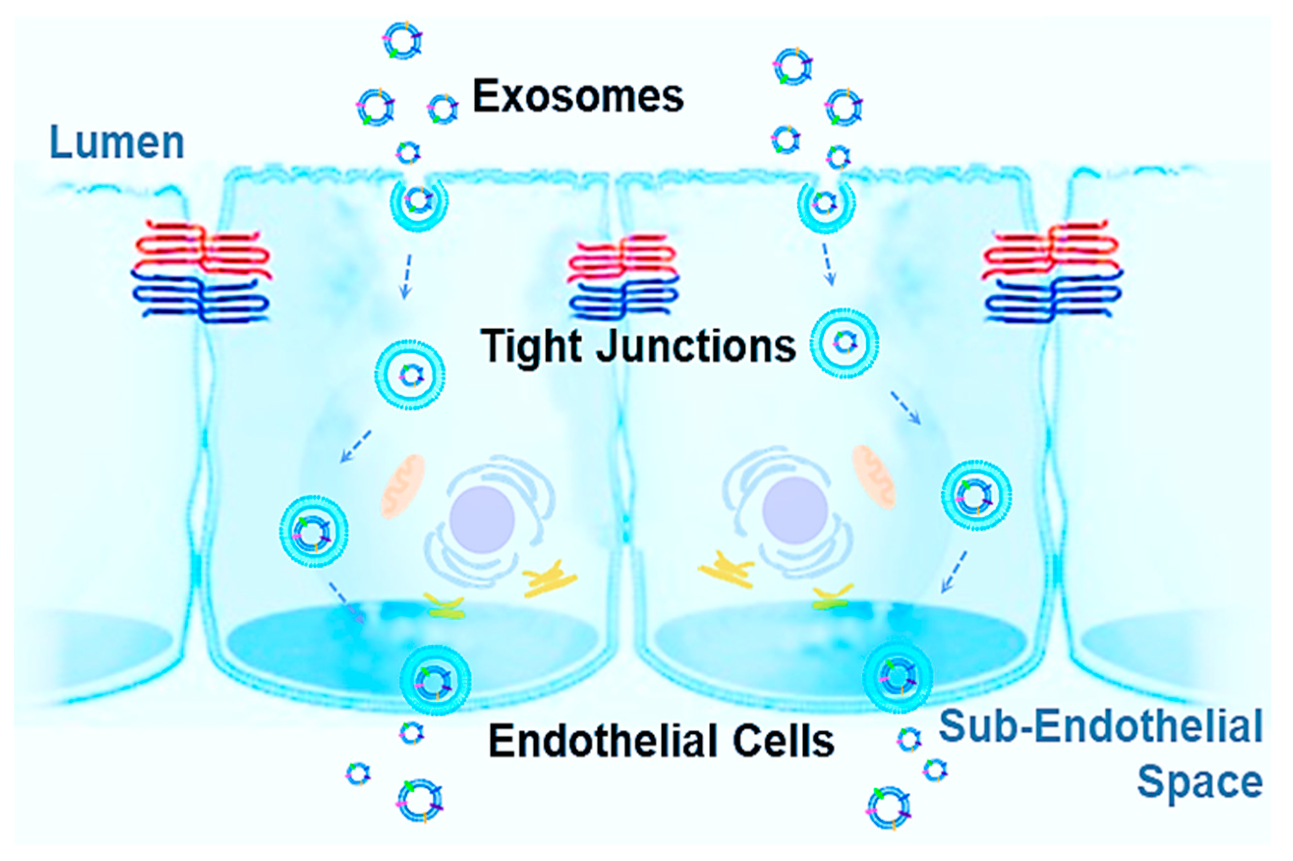 Pharmaceutics 13 00122 g002 Pharmaceutics 13 00122 g002