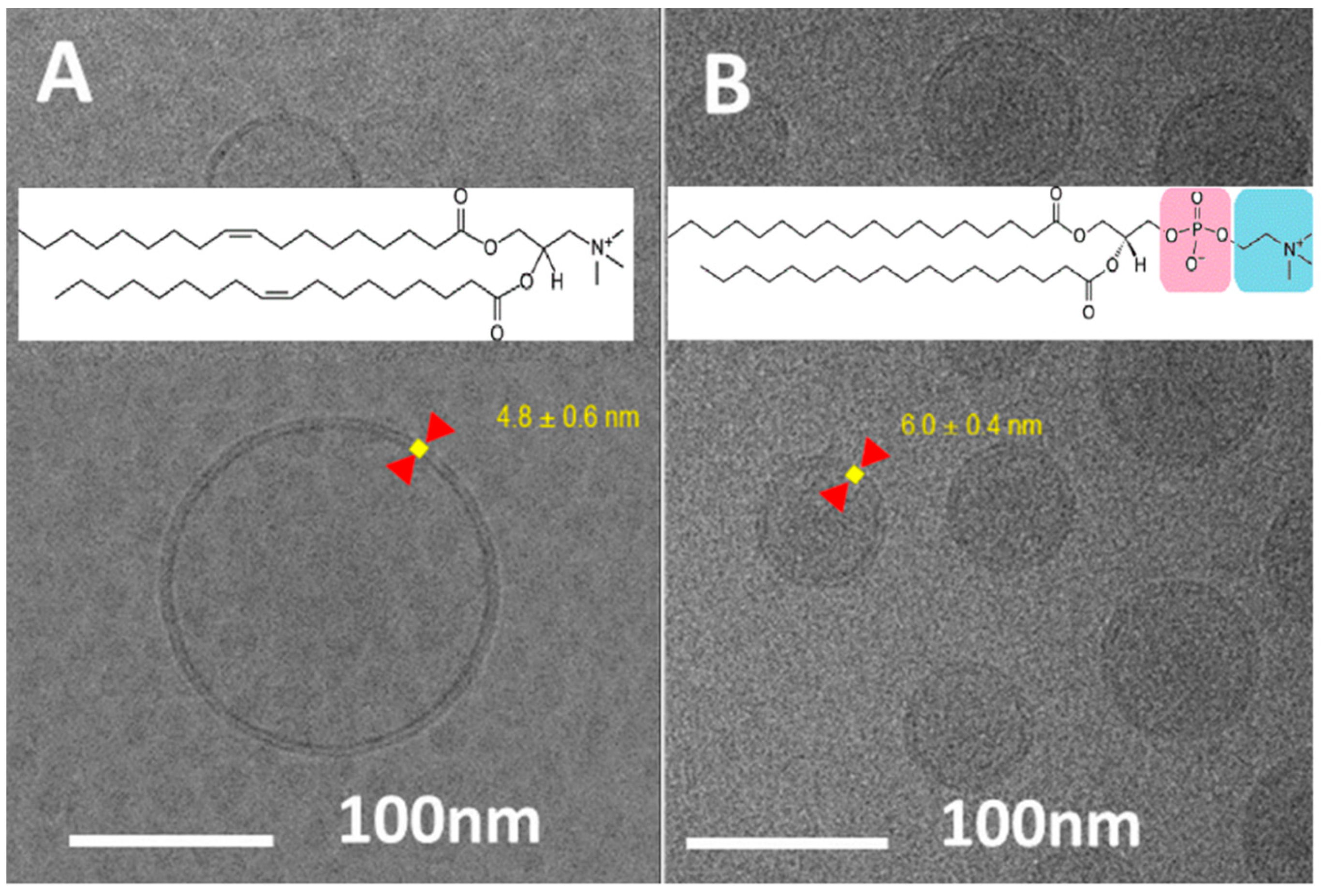 Pharmaceutics 13 00123 g005