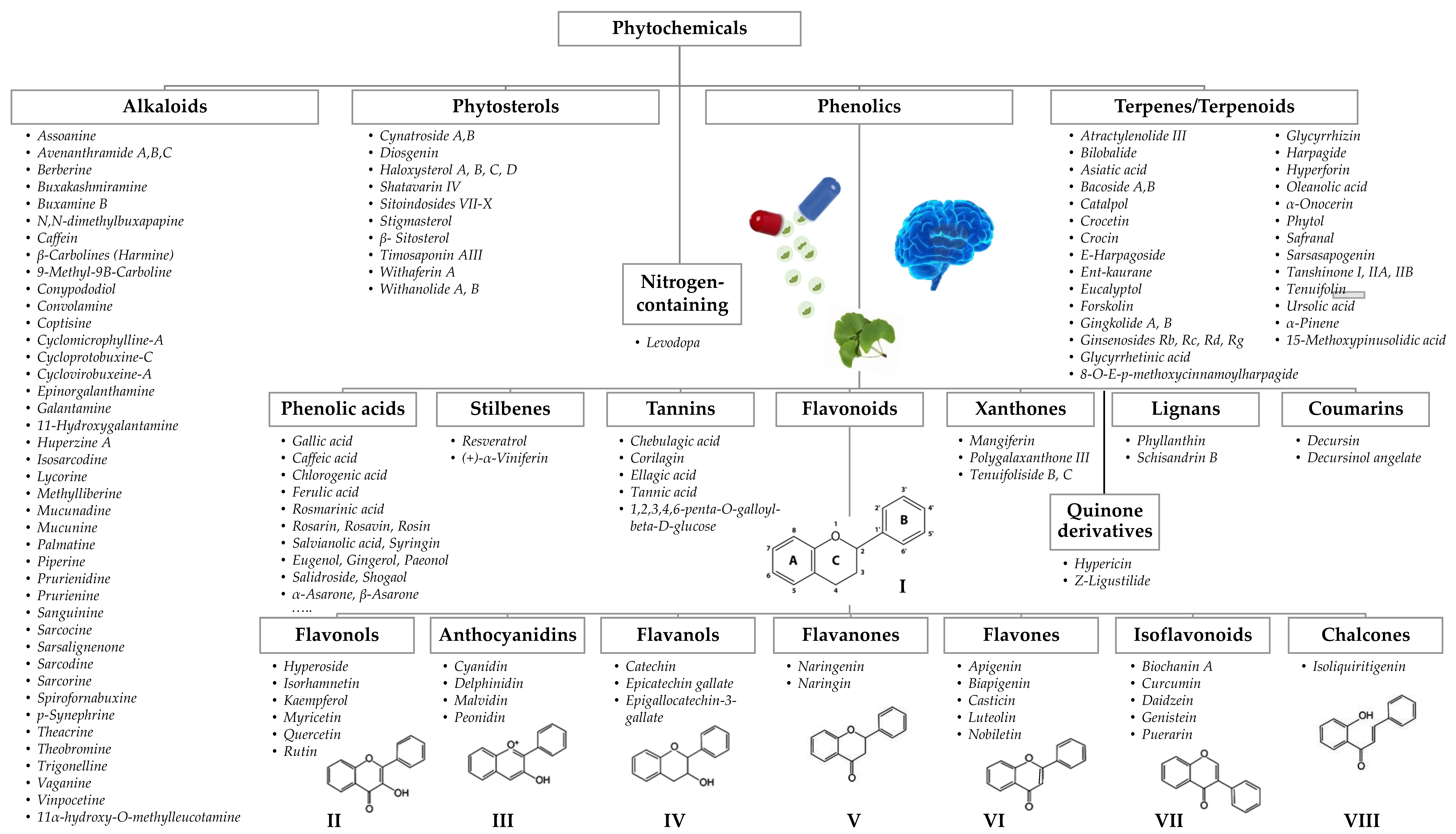 Pharmaceutics 13 00124 g003