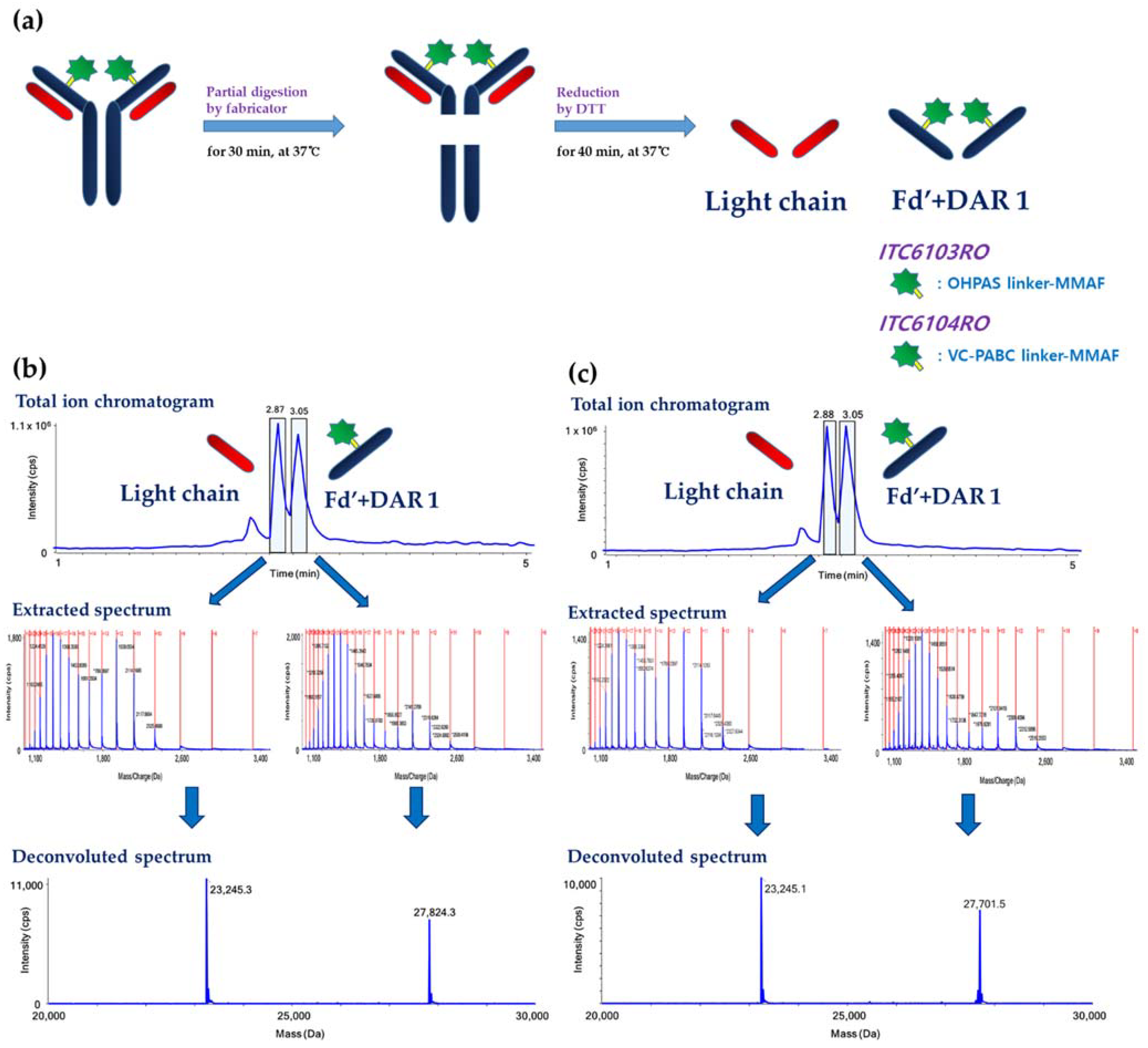 Pharmaceutics 13 00125 g005