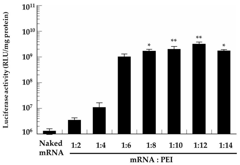 Pharmaceutics 13 00126 g002