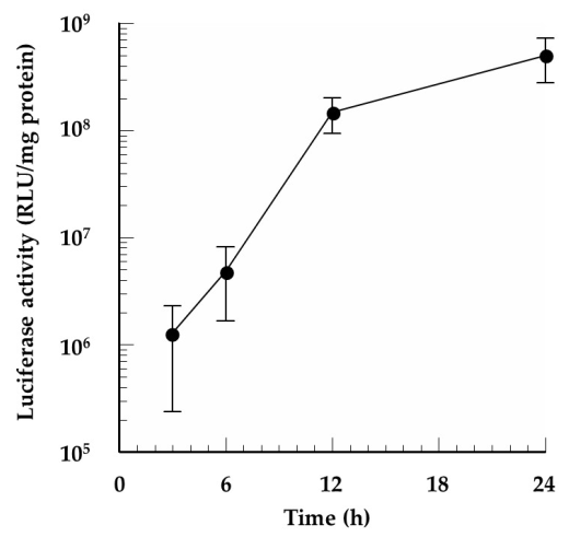 Pharmaceutics 13 00126 g006