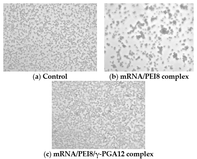 Pharmaceutics 13 00126 g008