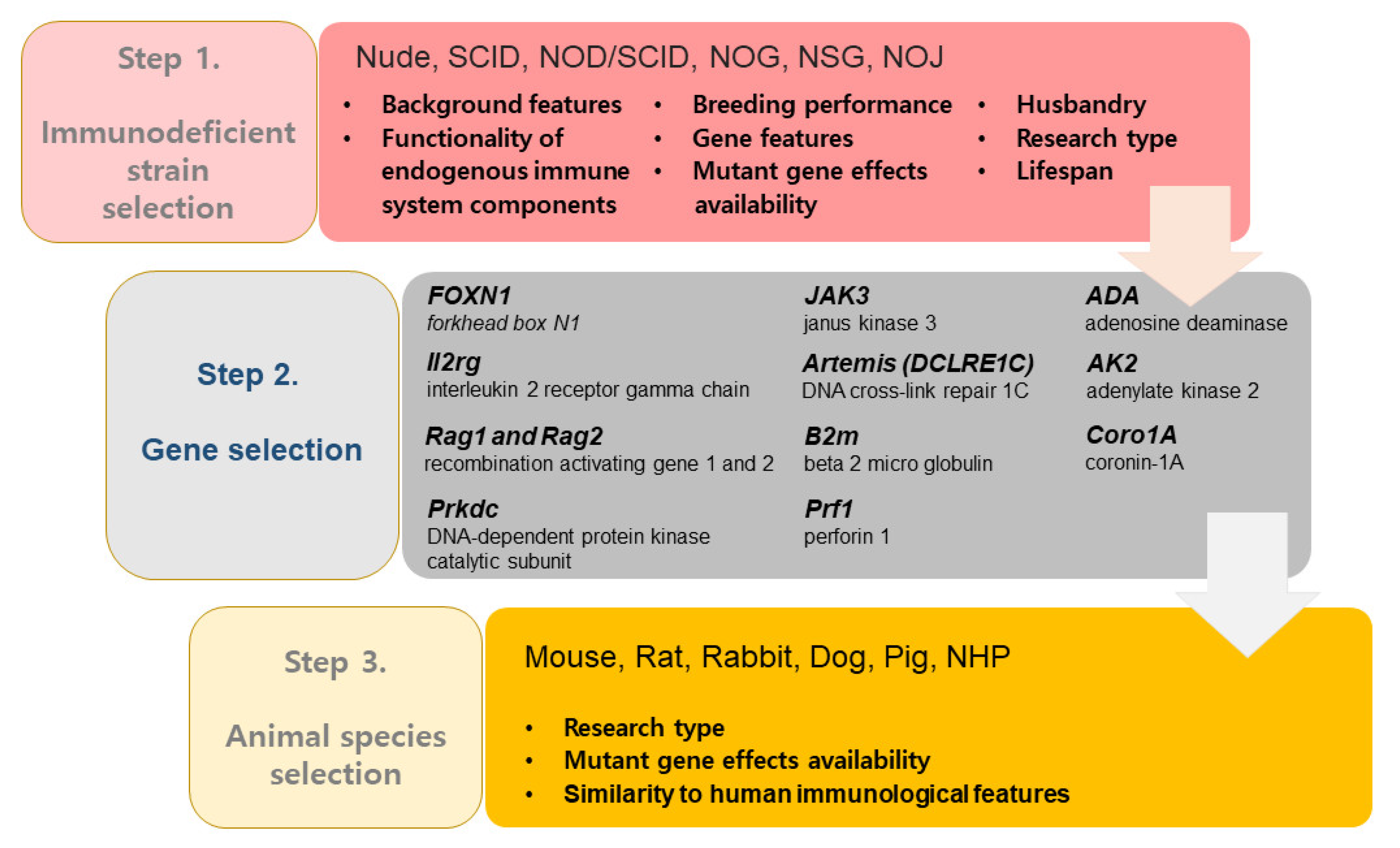 Pharmaceutics 13 00130 g002