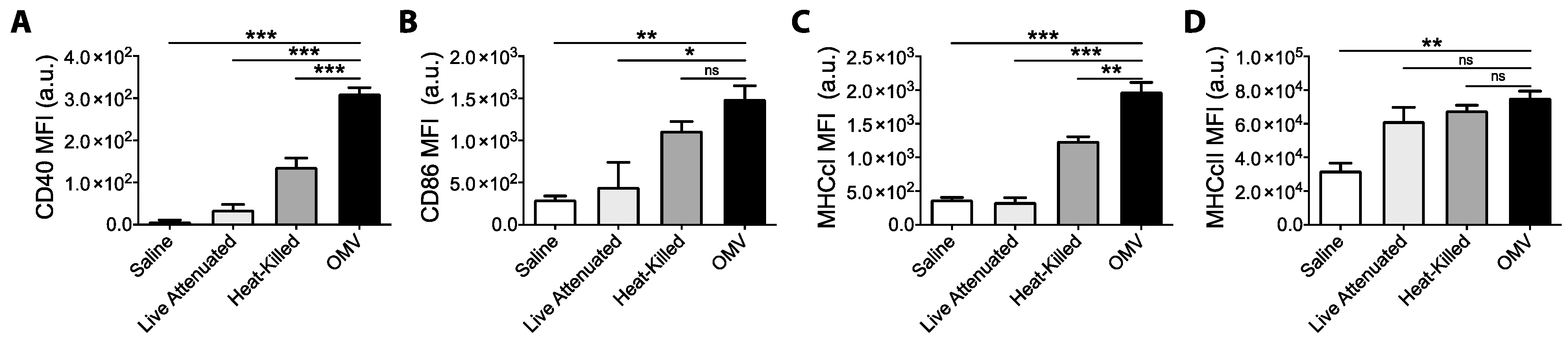 Pharmaceutics 13 00131 g002