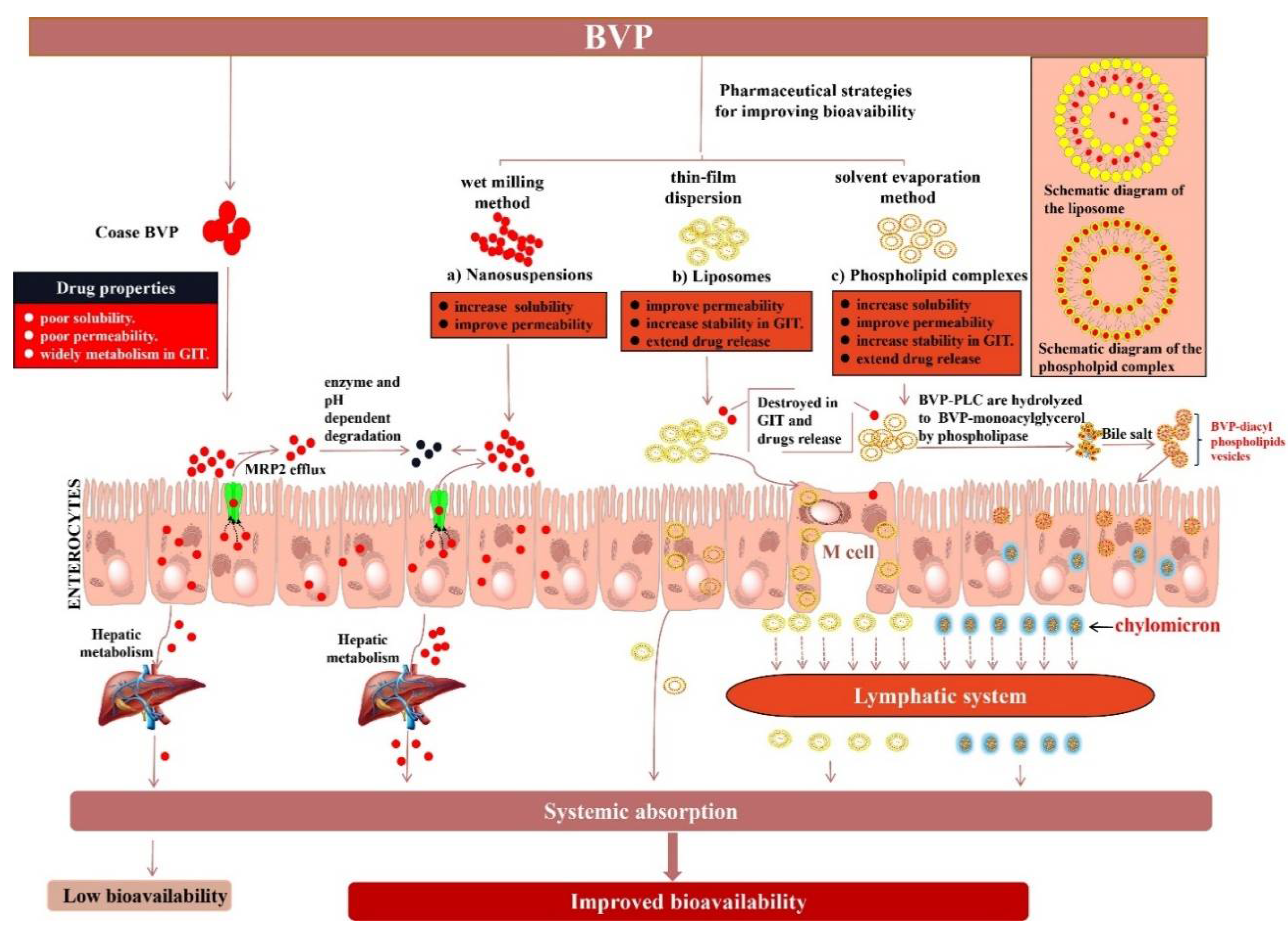 Pharmaceutics 13 00132 g002