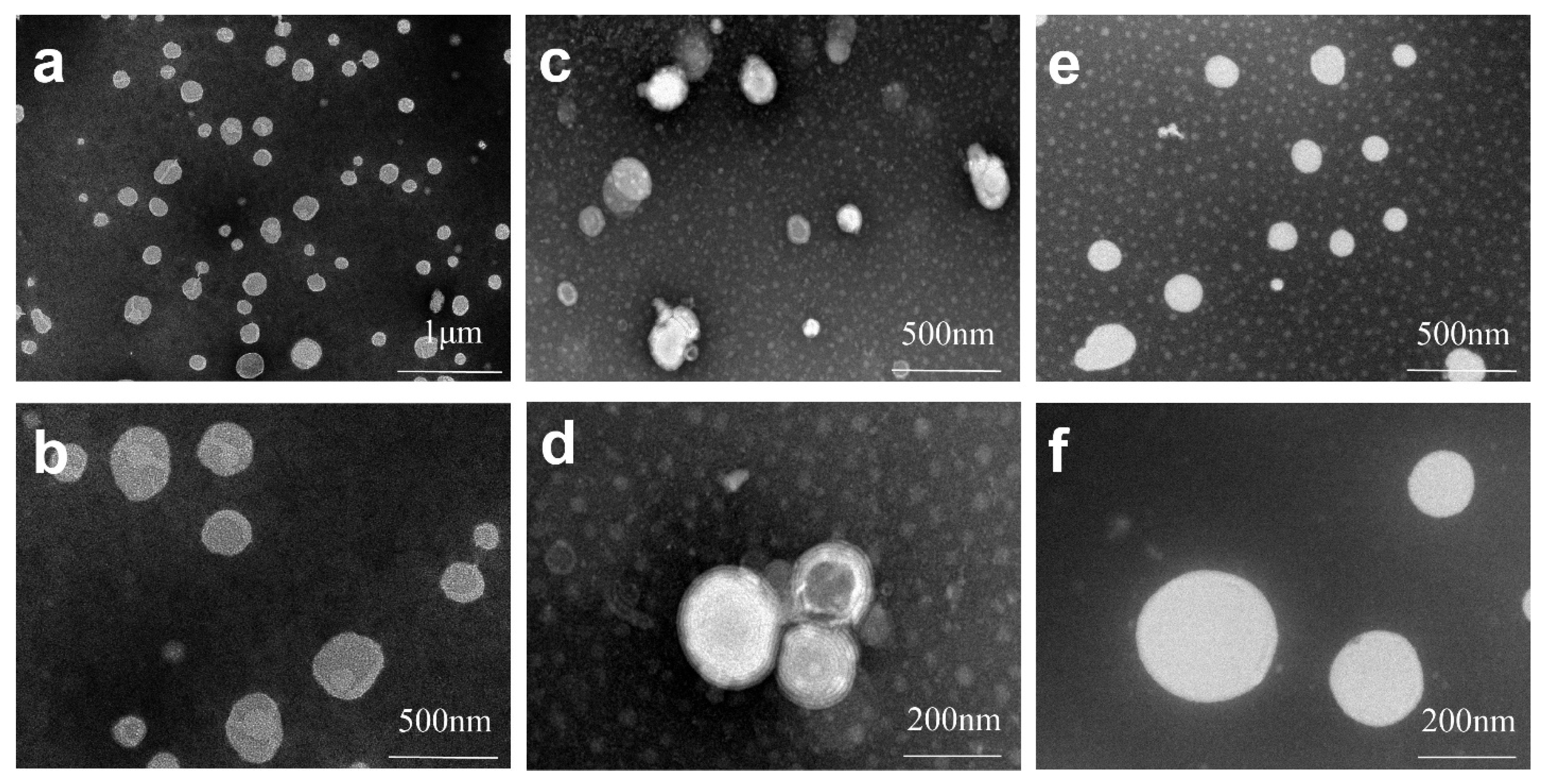 Pharmaceutics 13 00132 g003