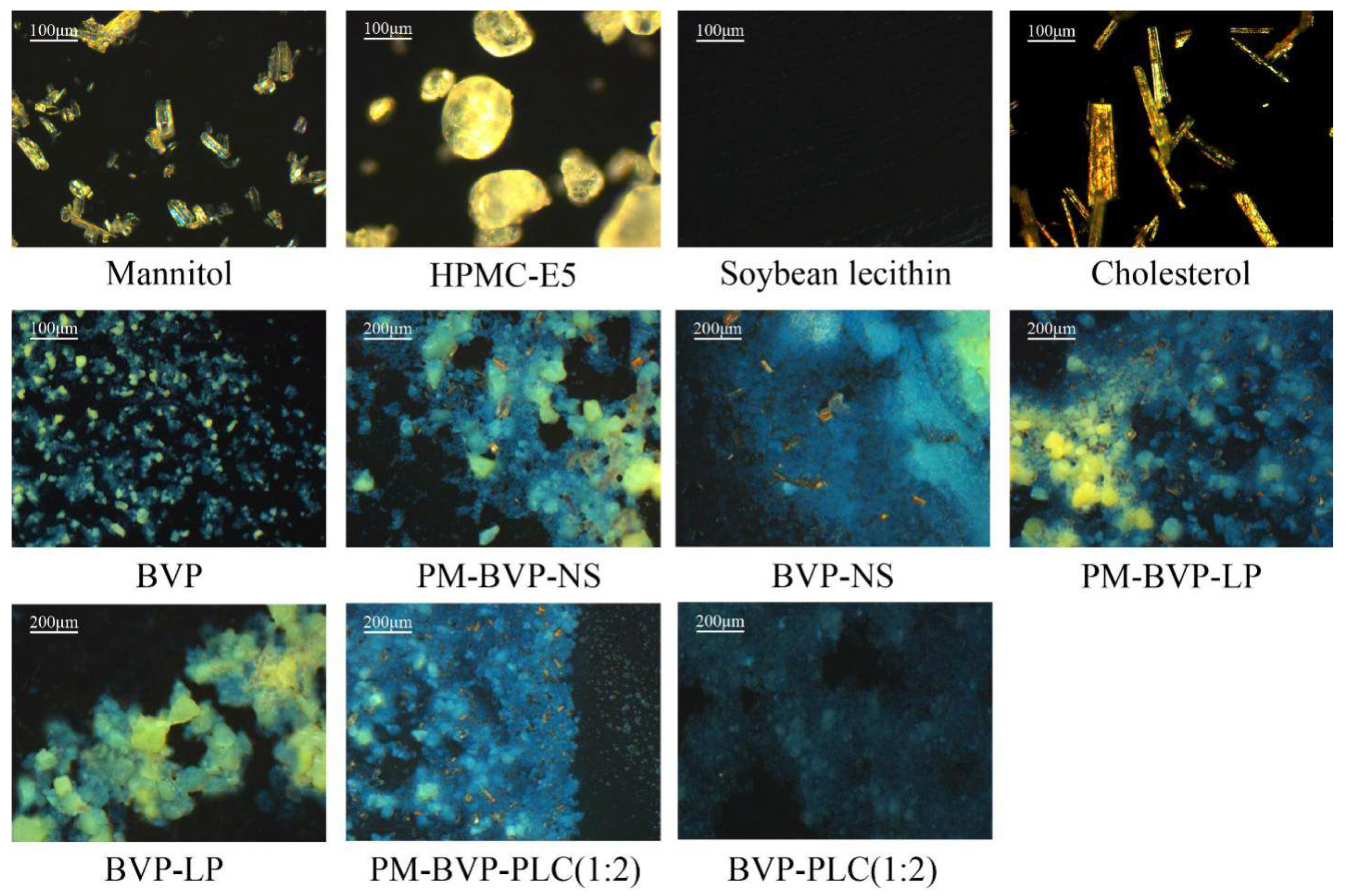 Pharmaceutics 13 00132 g004