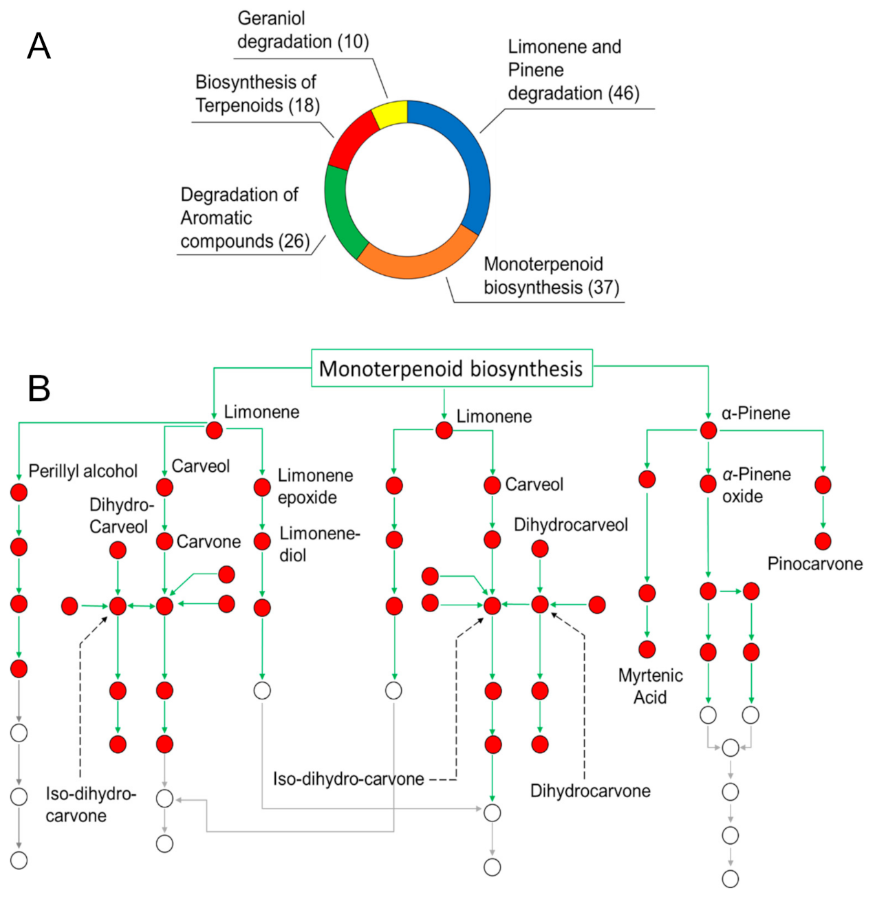 Pharmaceutics 13 00134 g001