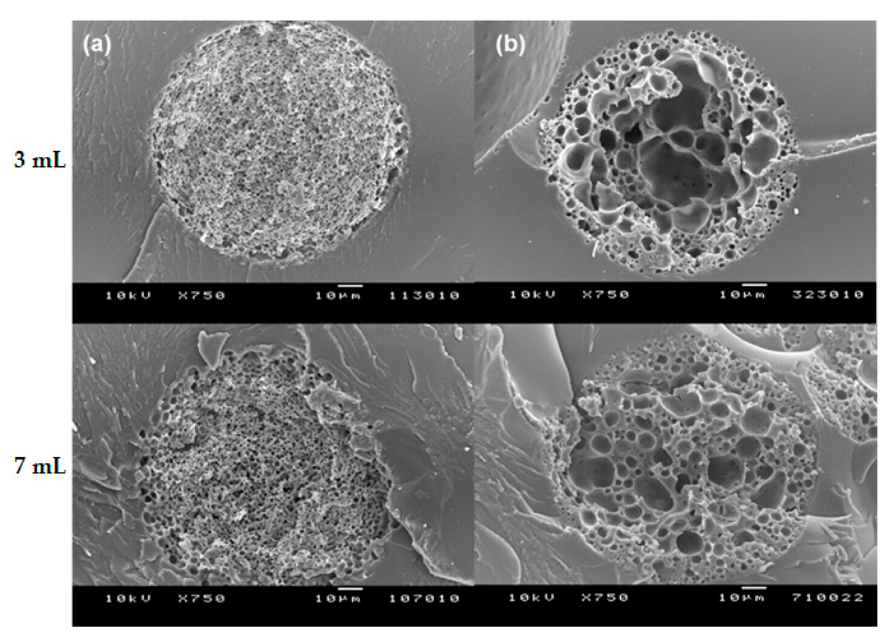 Pharmaceutics 13 00137 g011