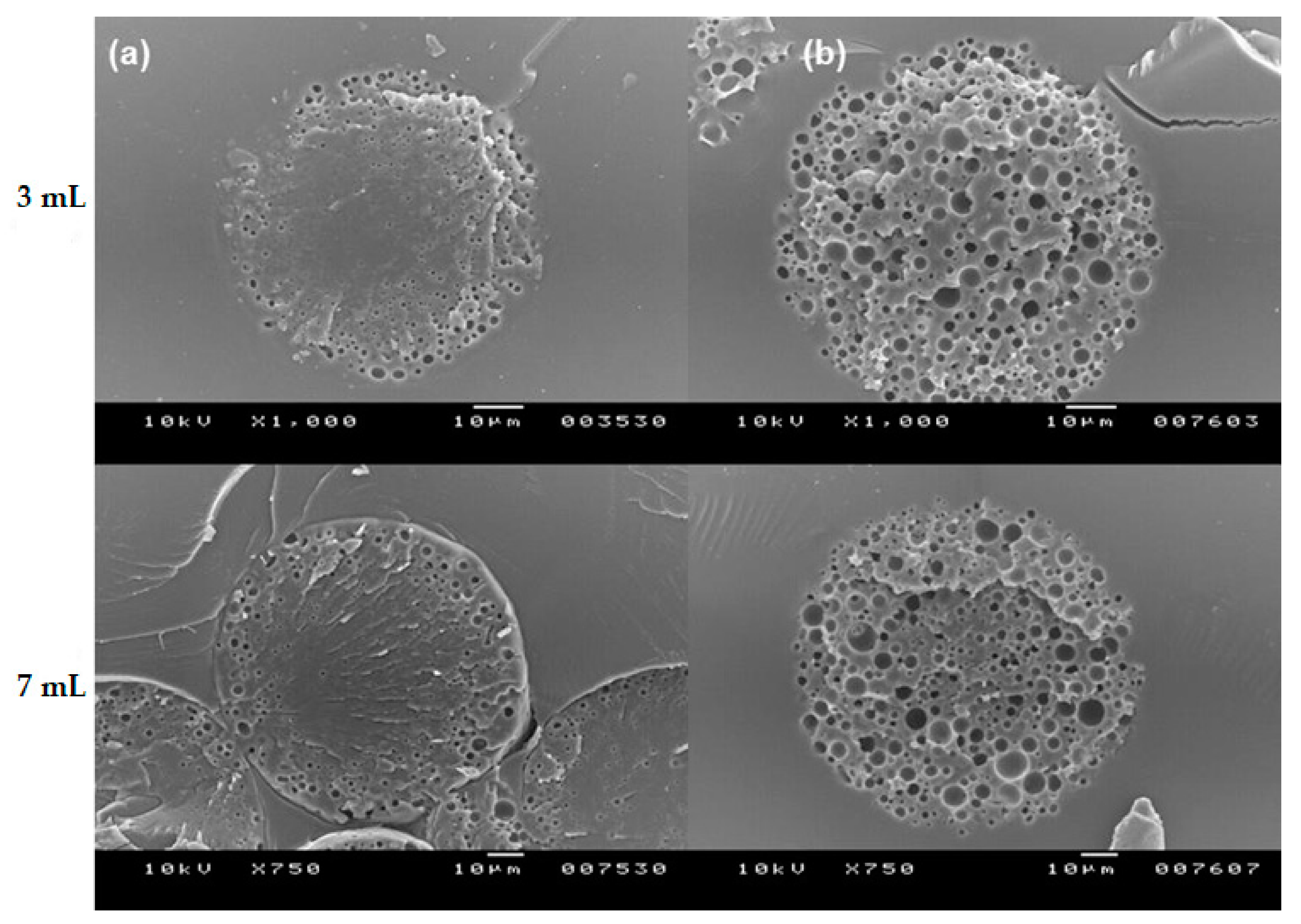 Pharmaceutics 13 00137 g012