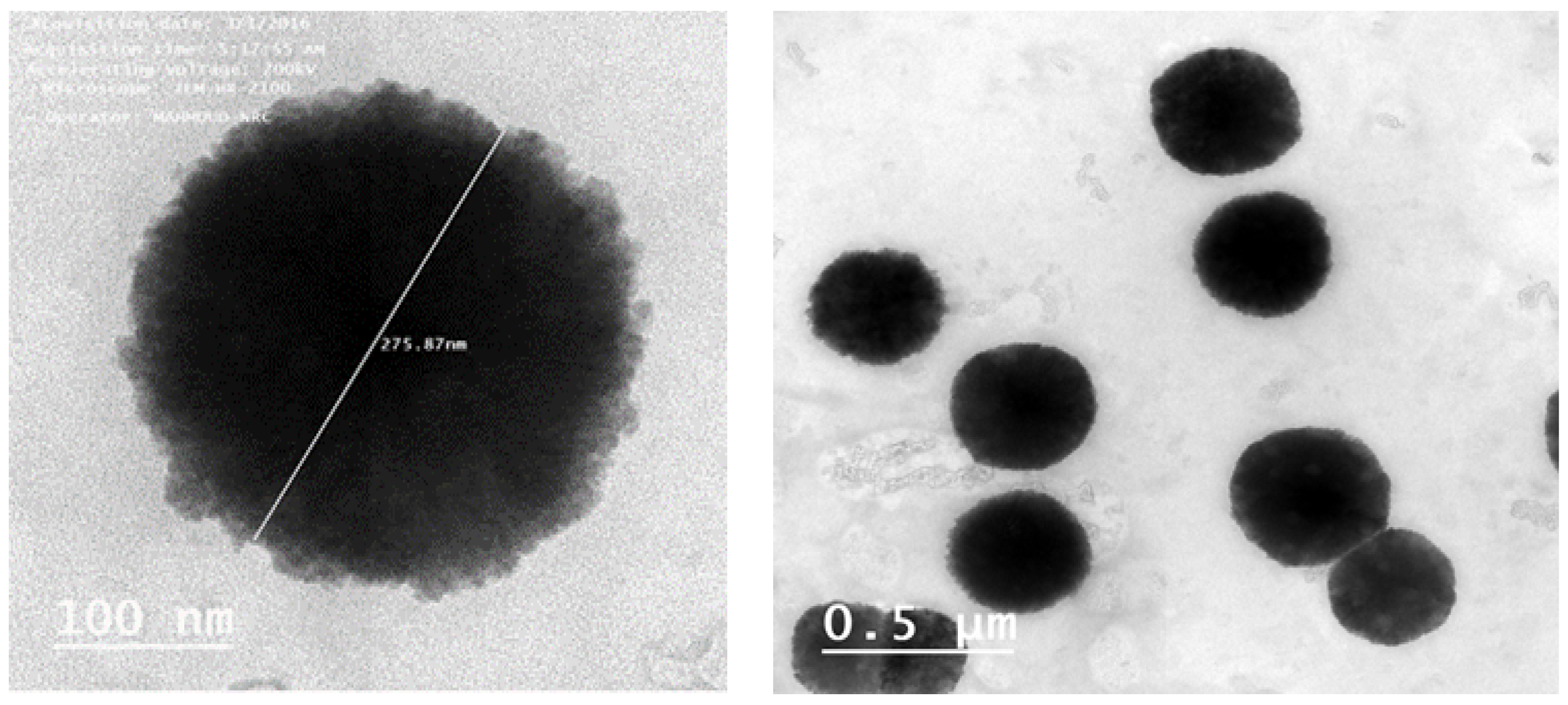 Pharmaceutics 13 00138 g006 Pharmaceutics 13 00138 g006