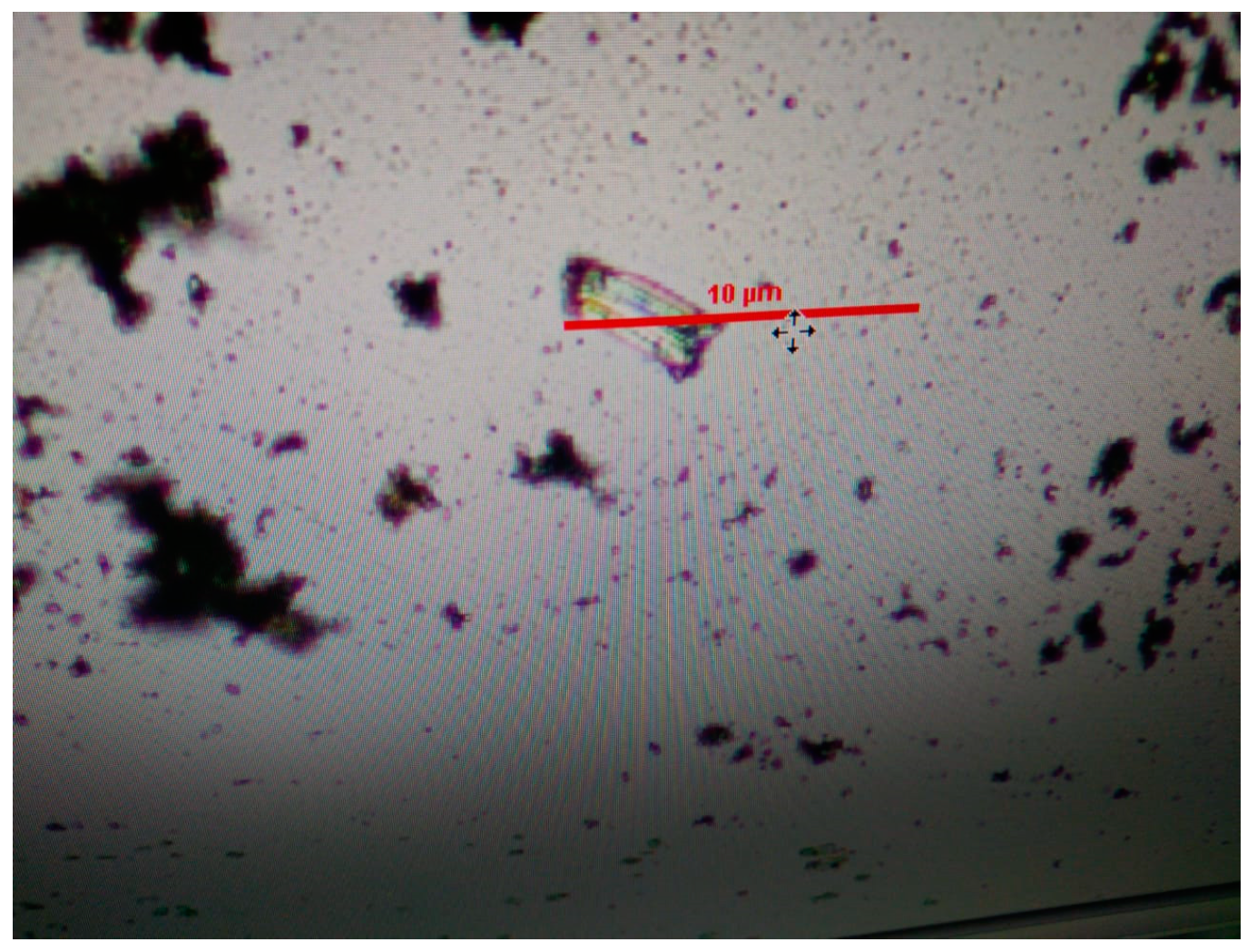 Pharmaceutics 13 00139 g002
