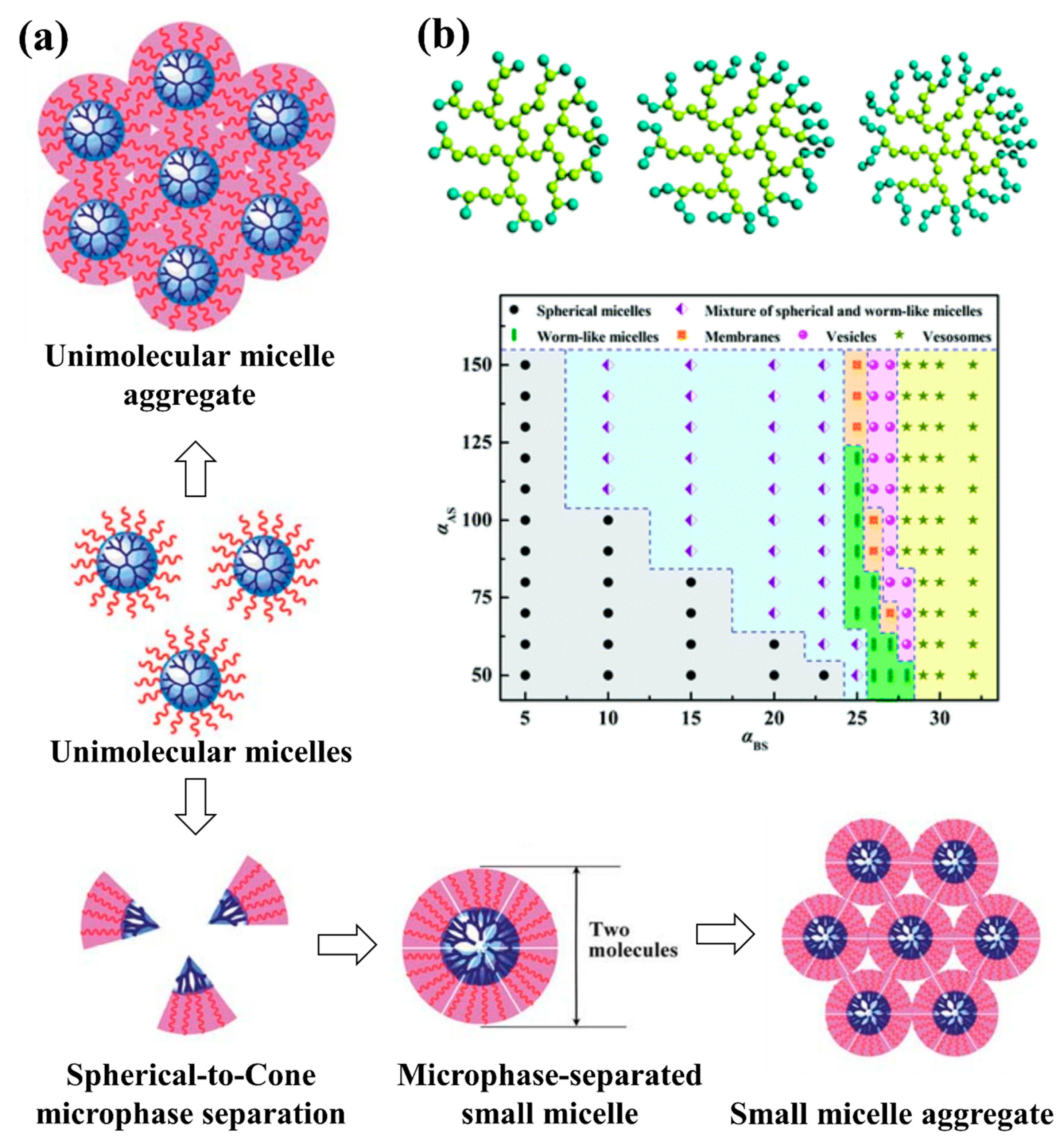 Pharmaceutics 13 00141 g003 Pharmaceutics 13 00141 g003