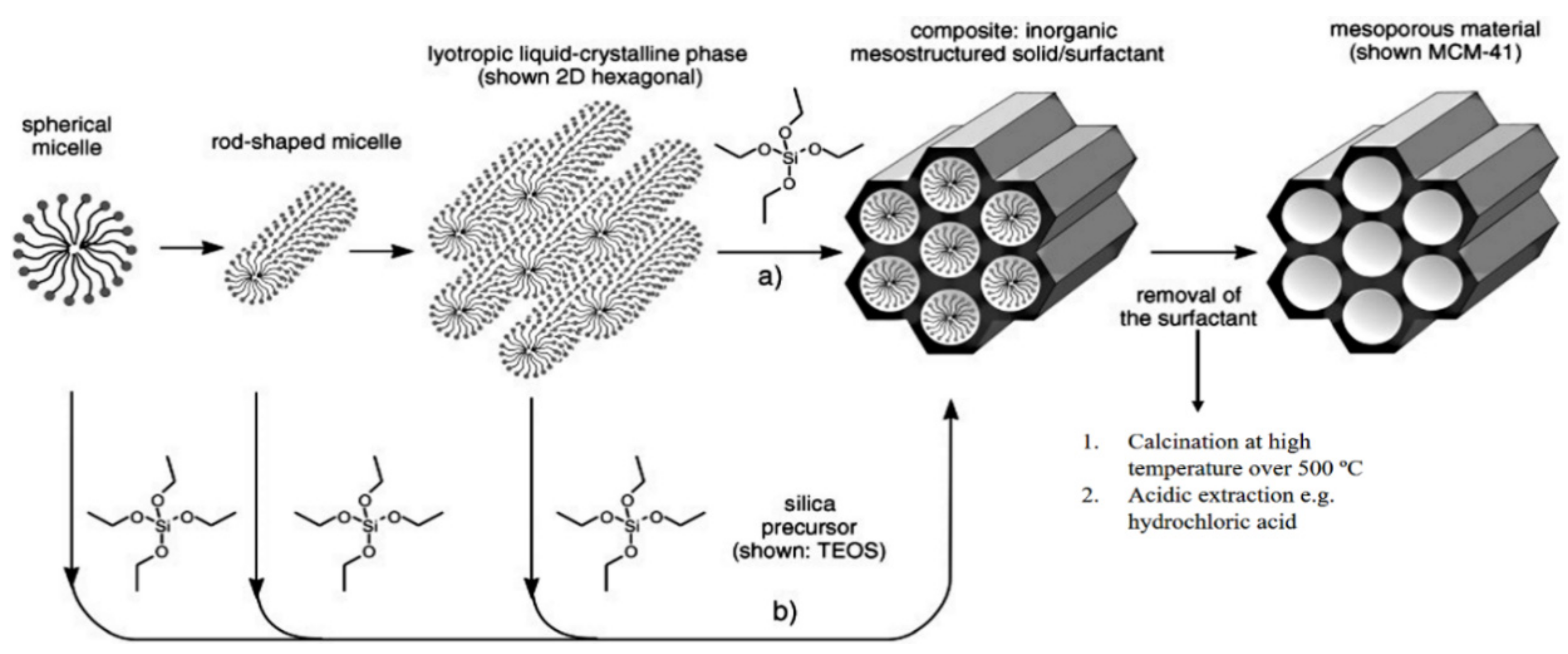 Pharmaceutics 13 00143 g002