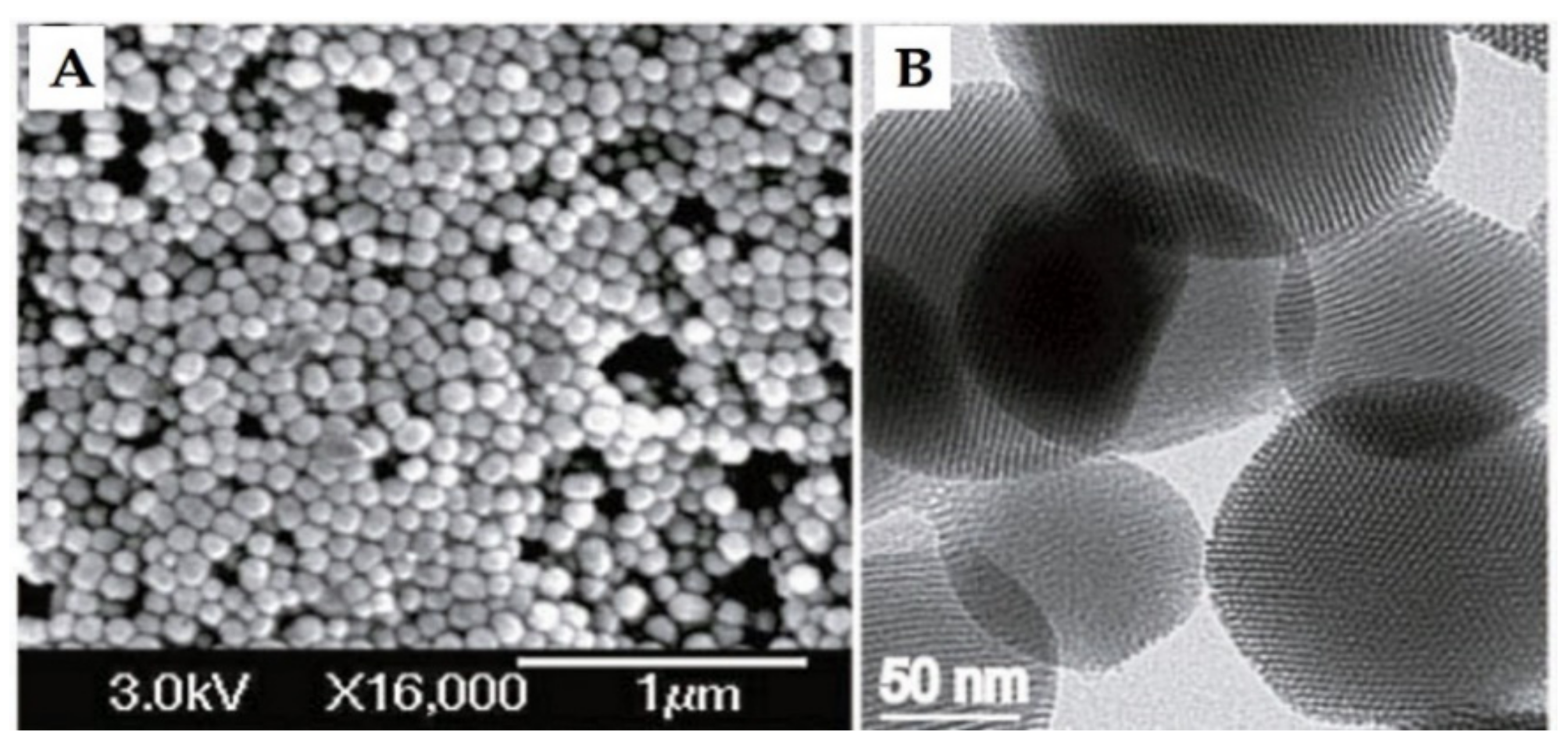 Pharmaceutics 13 00143 g003