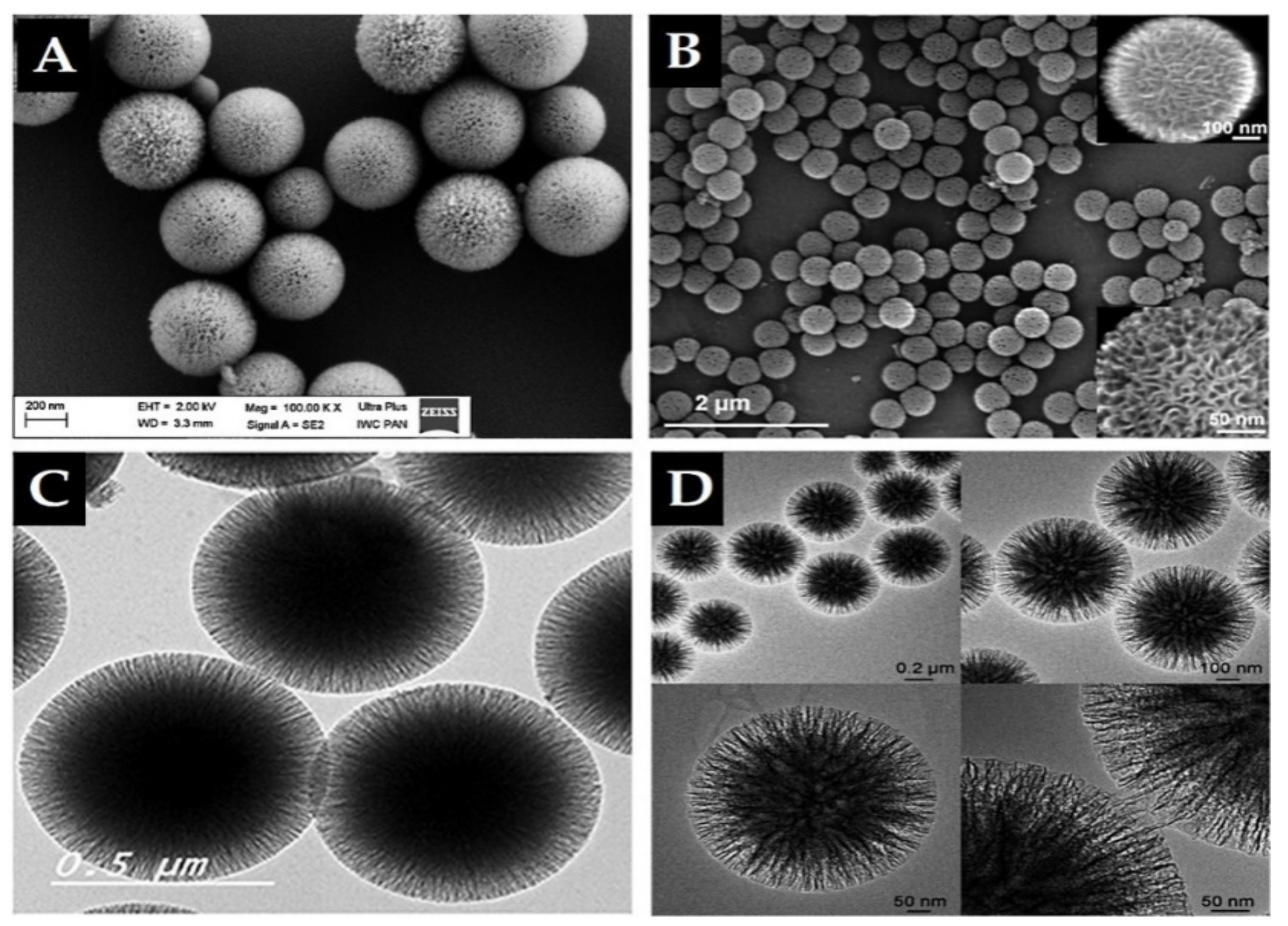 Pharmaceutics 13 00143 g004
