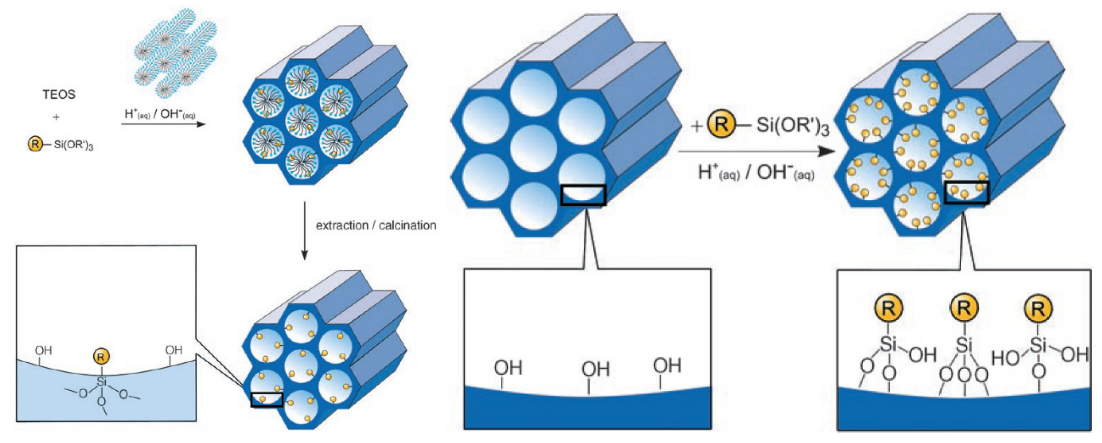 Pharmaceutics 13 00143 g005