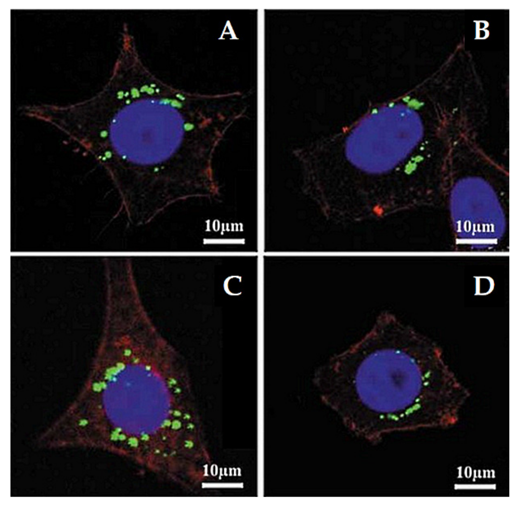 Pharmaceutics 13 00143 g007