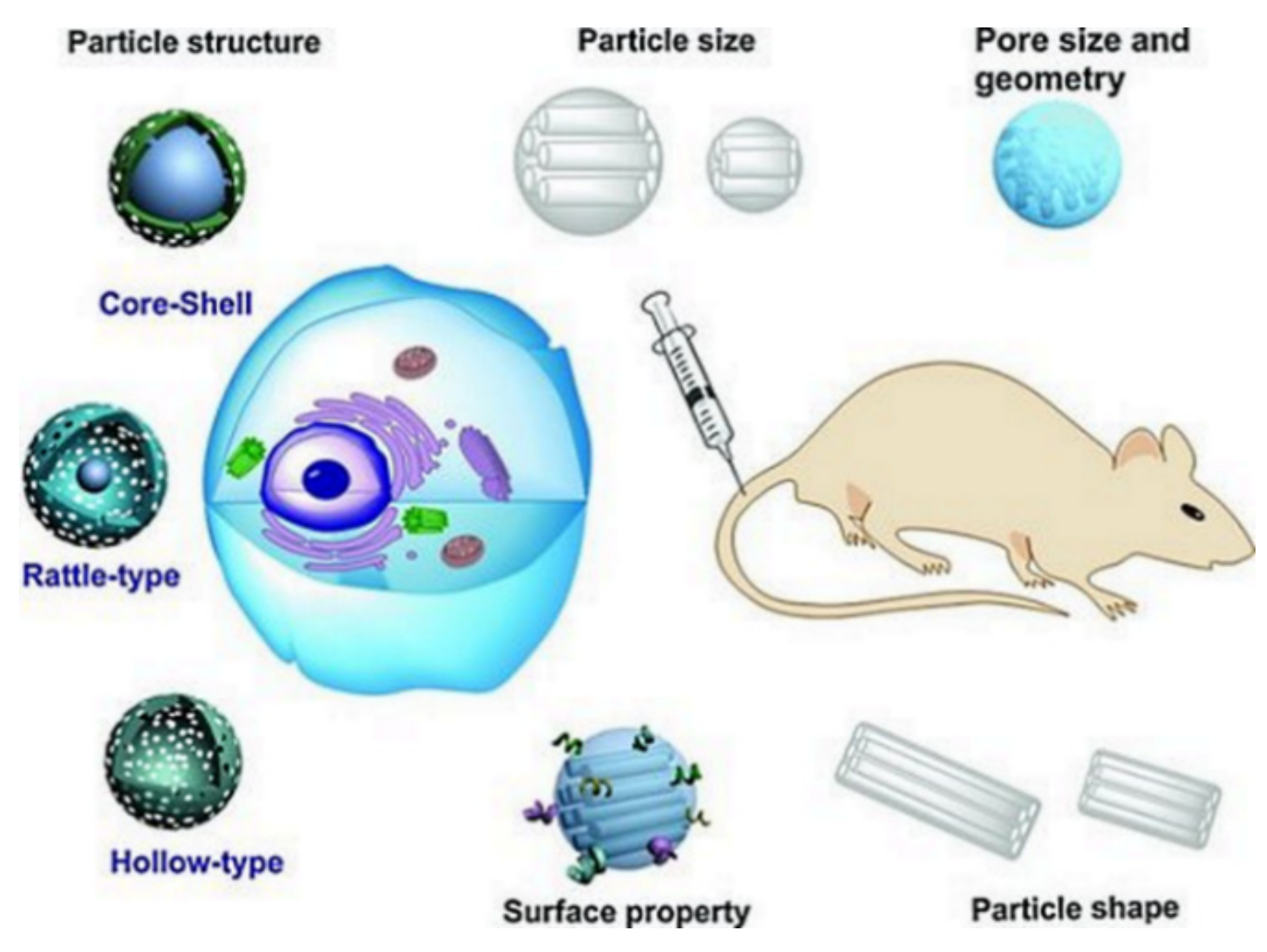Pharmaceutics 13 00143 g009