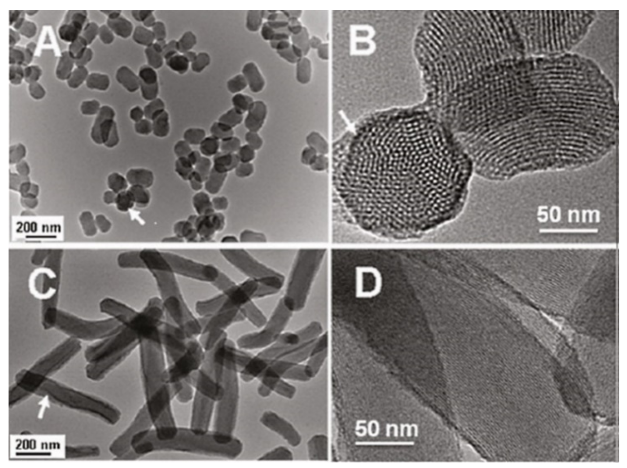 Pharmaceutics 13 00143 g010