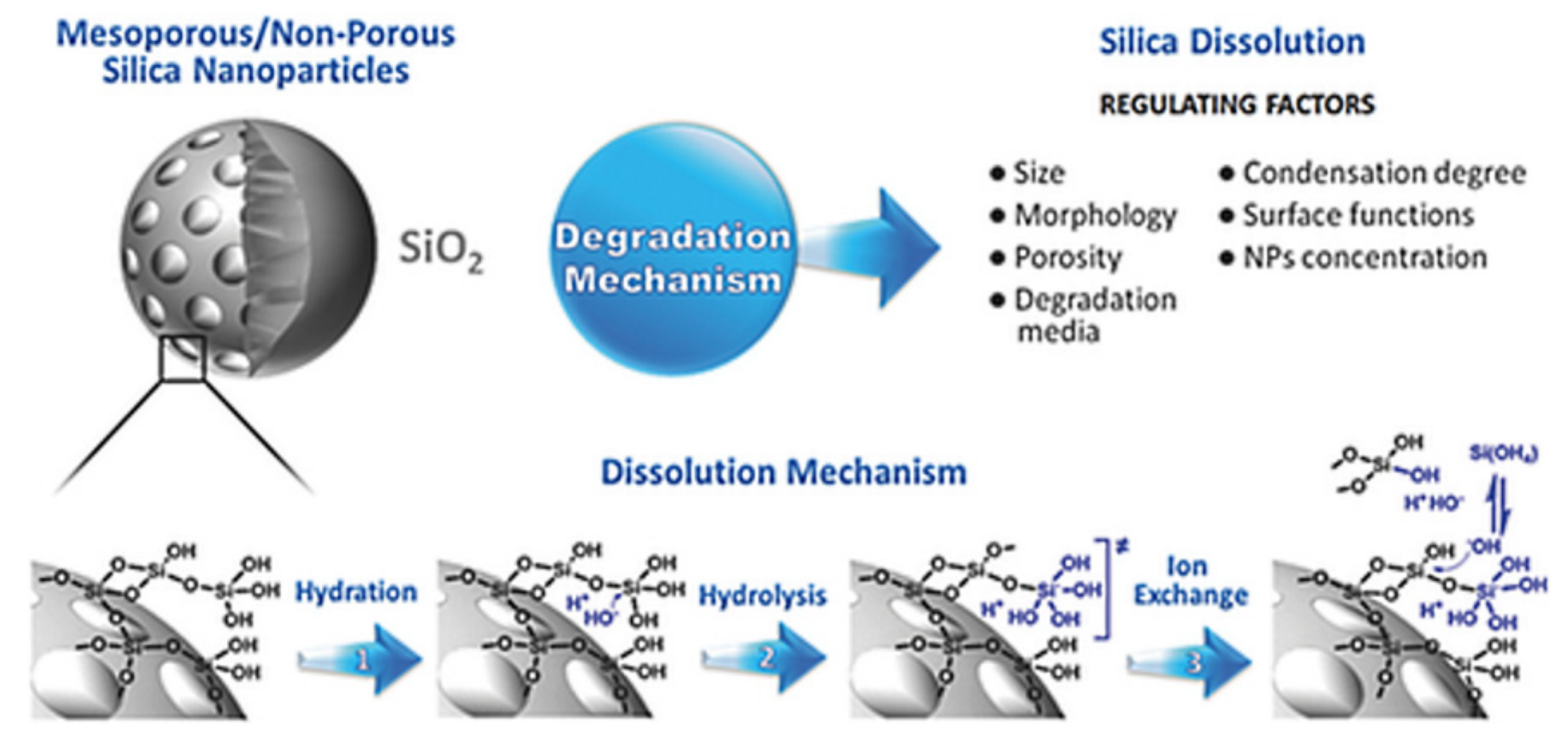 Pharmaceutics 13 00143 g013
