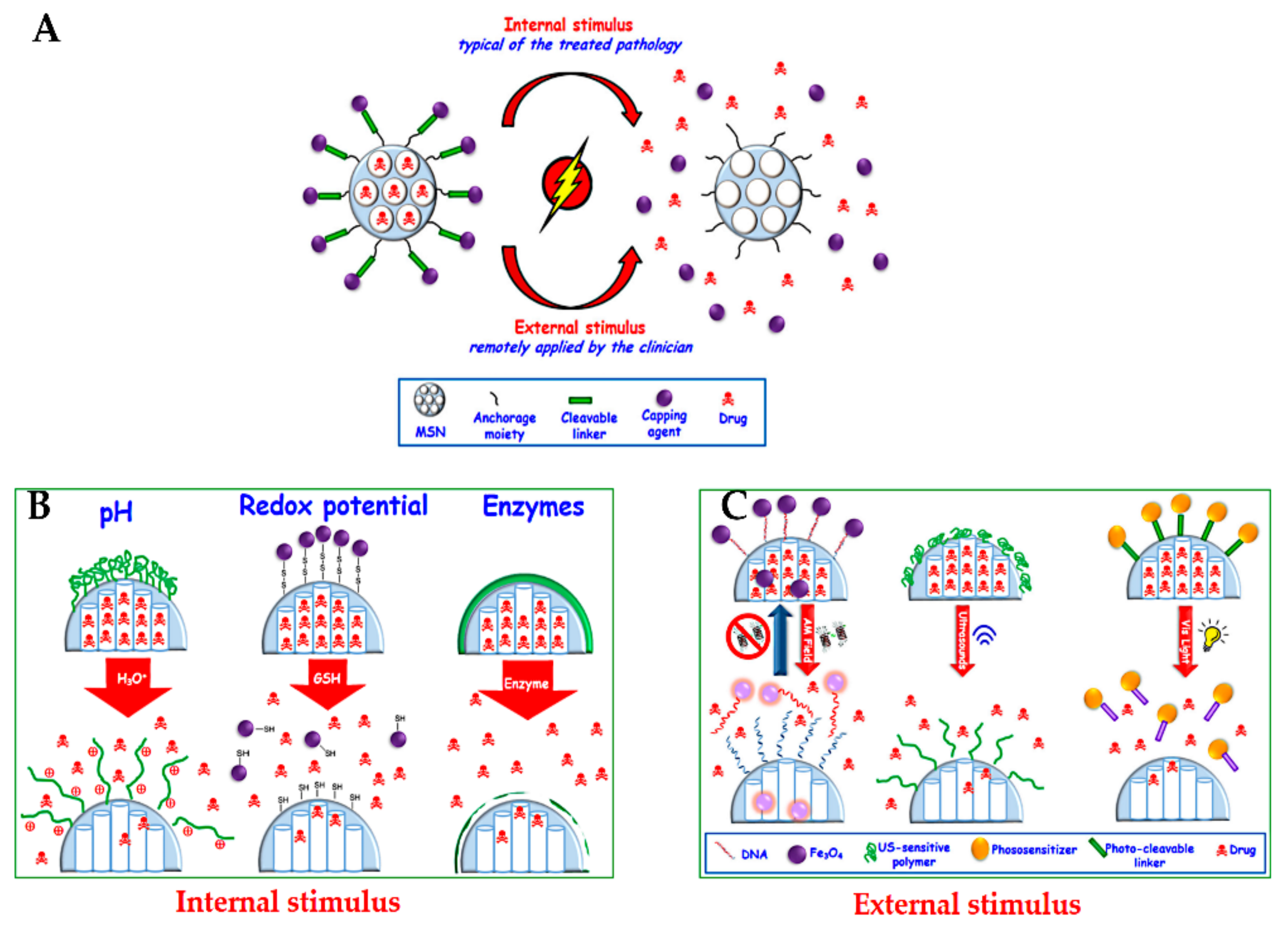 Pharmaceutics 13 00143 g014