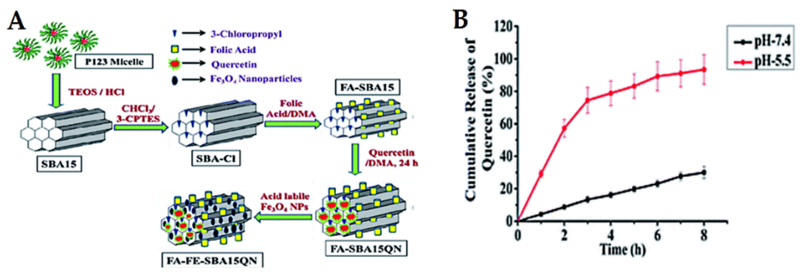 Pharmaceutics 13 00143 g015