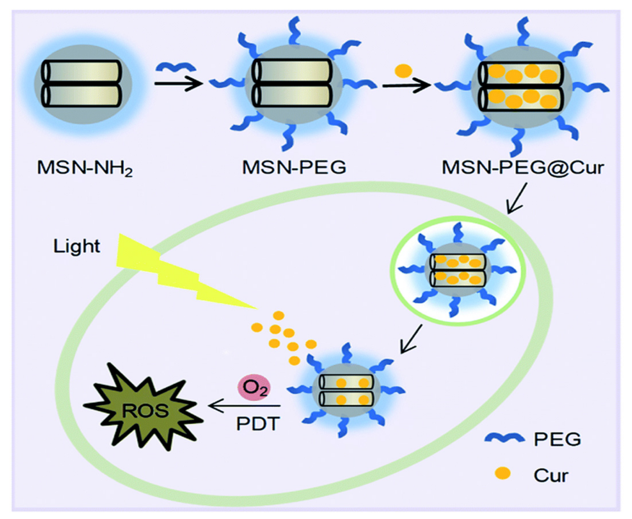Pharmaceutics 13 00143 g017