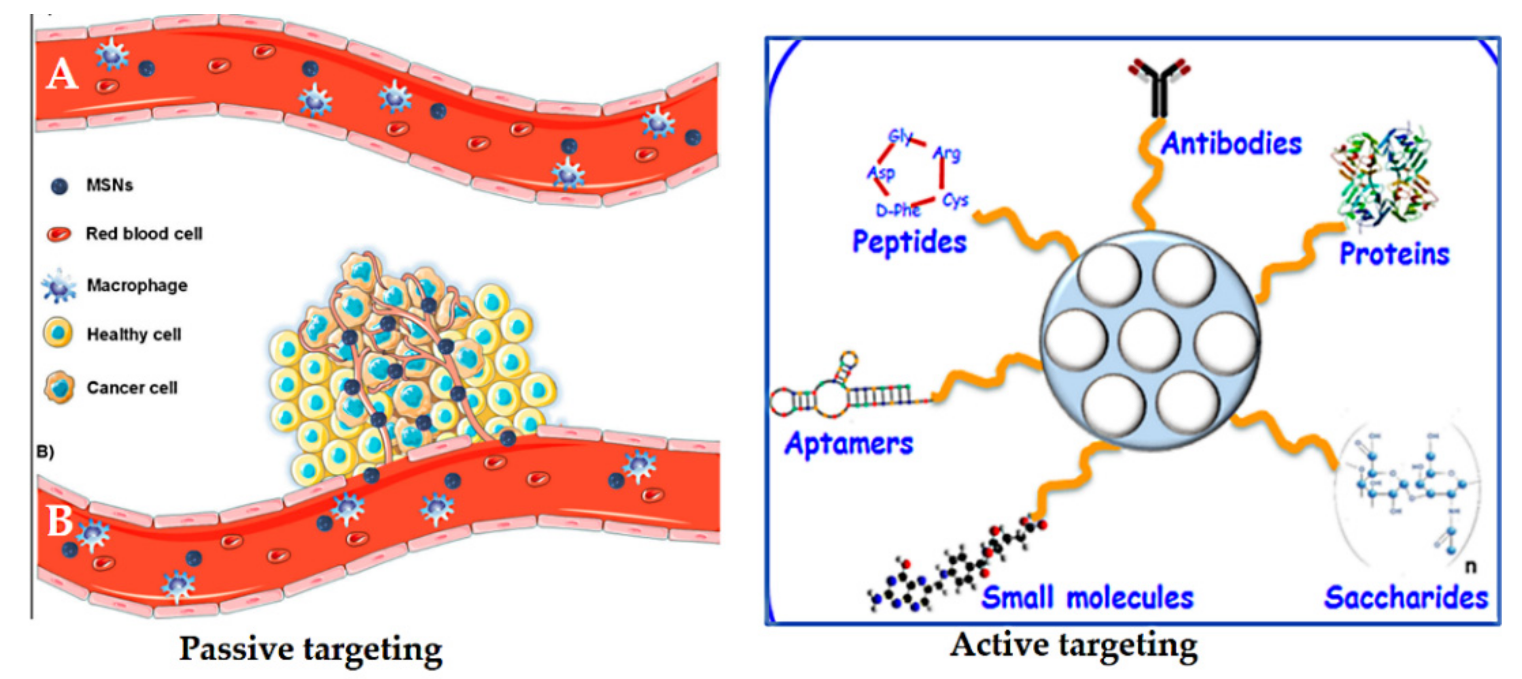 Pharmaceutics 13 00143 g018