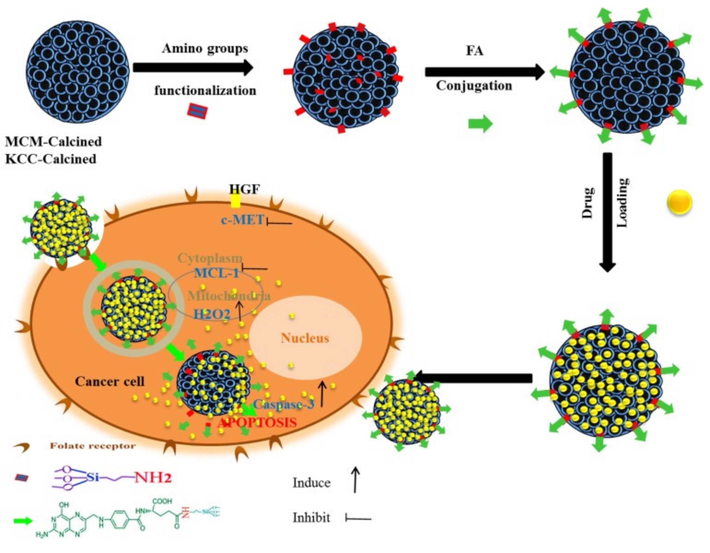 Pharmaceutics 13 00143 g019