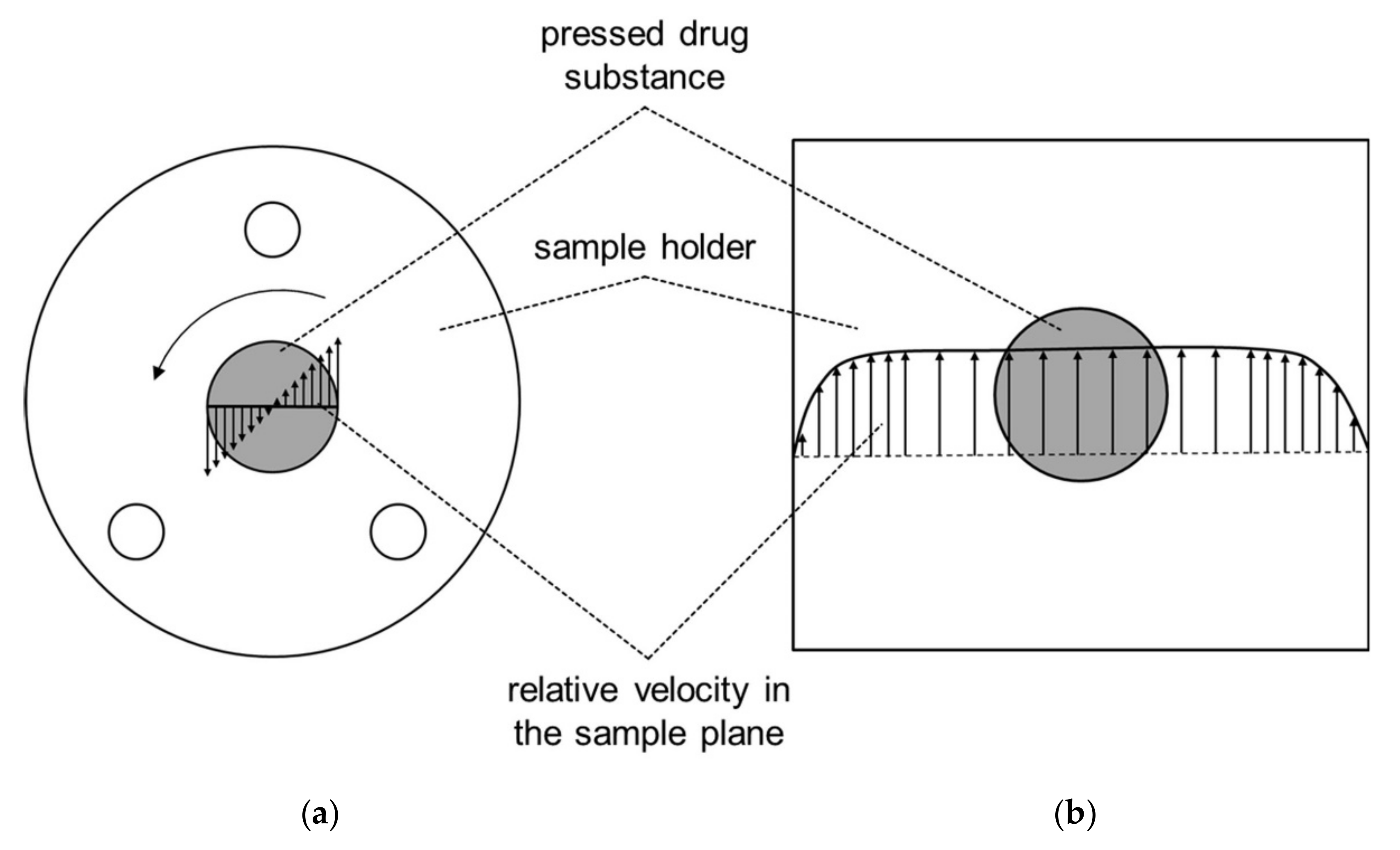 Pharmaceutics 13 00146 g001 Pharmaceutics 13 00146 g001