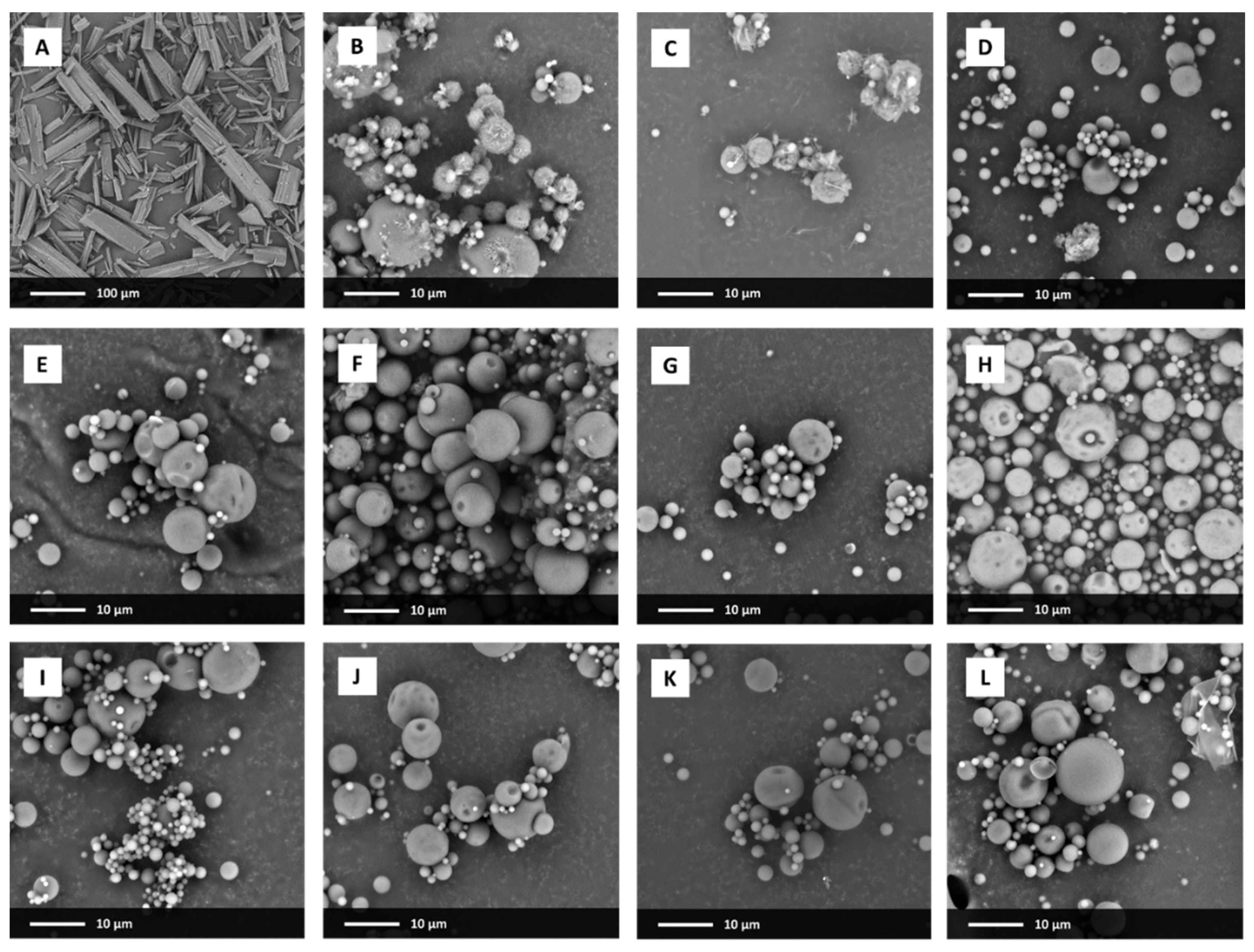 Pharmaceutics 13 00147 g001 Pharmaceutics 13 00147 g001