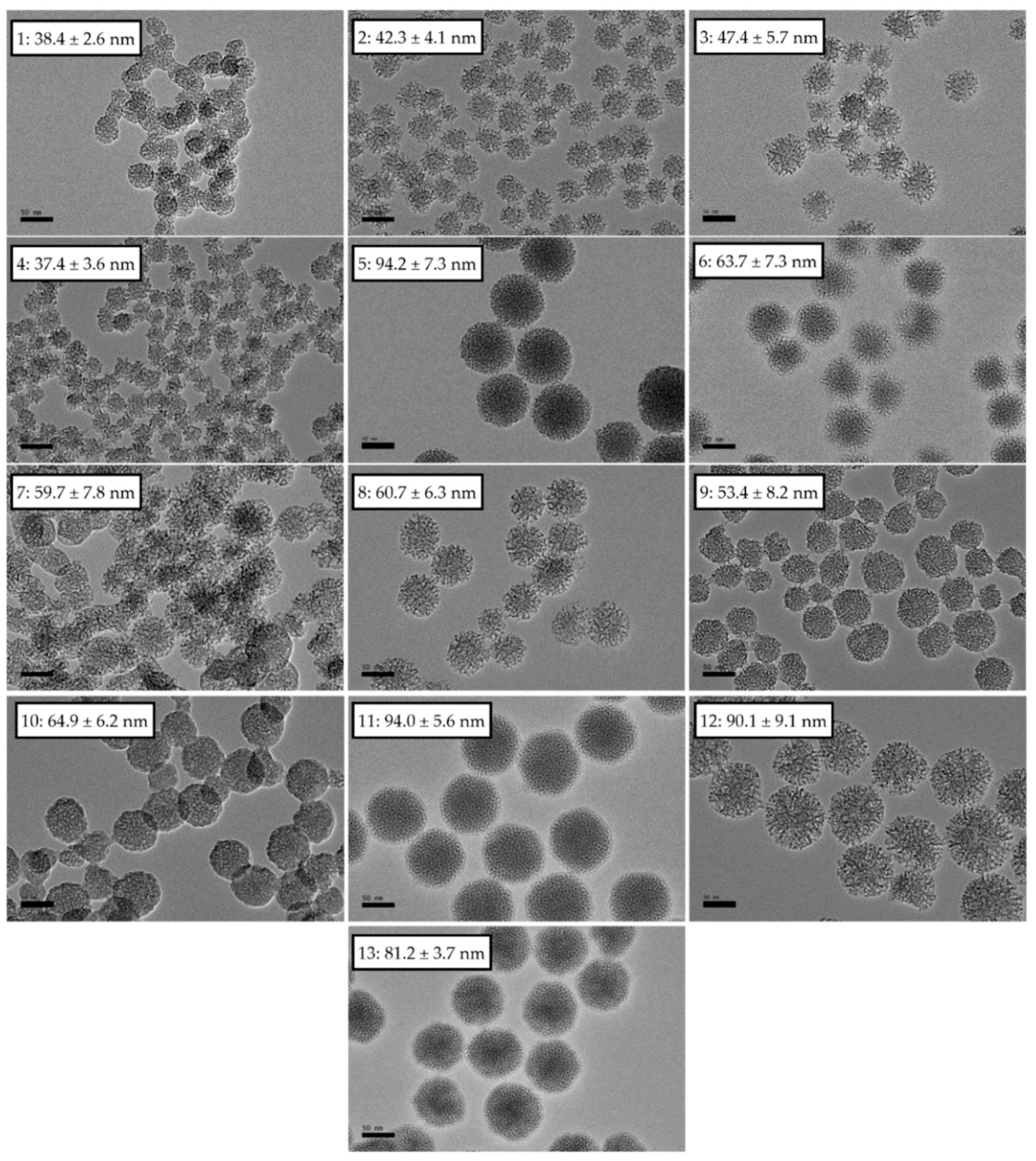 Pharmaceutics 13 00150 g003