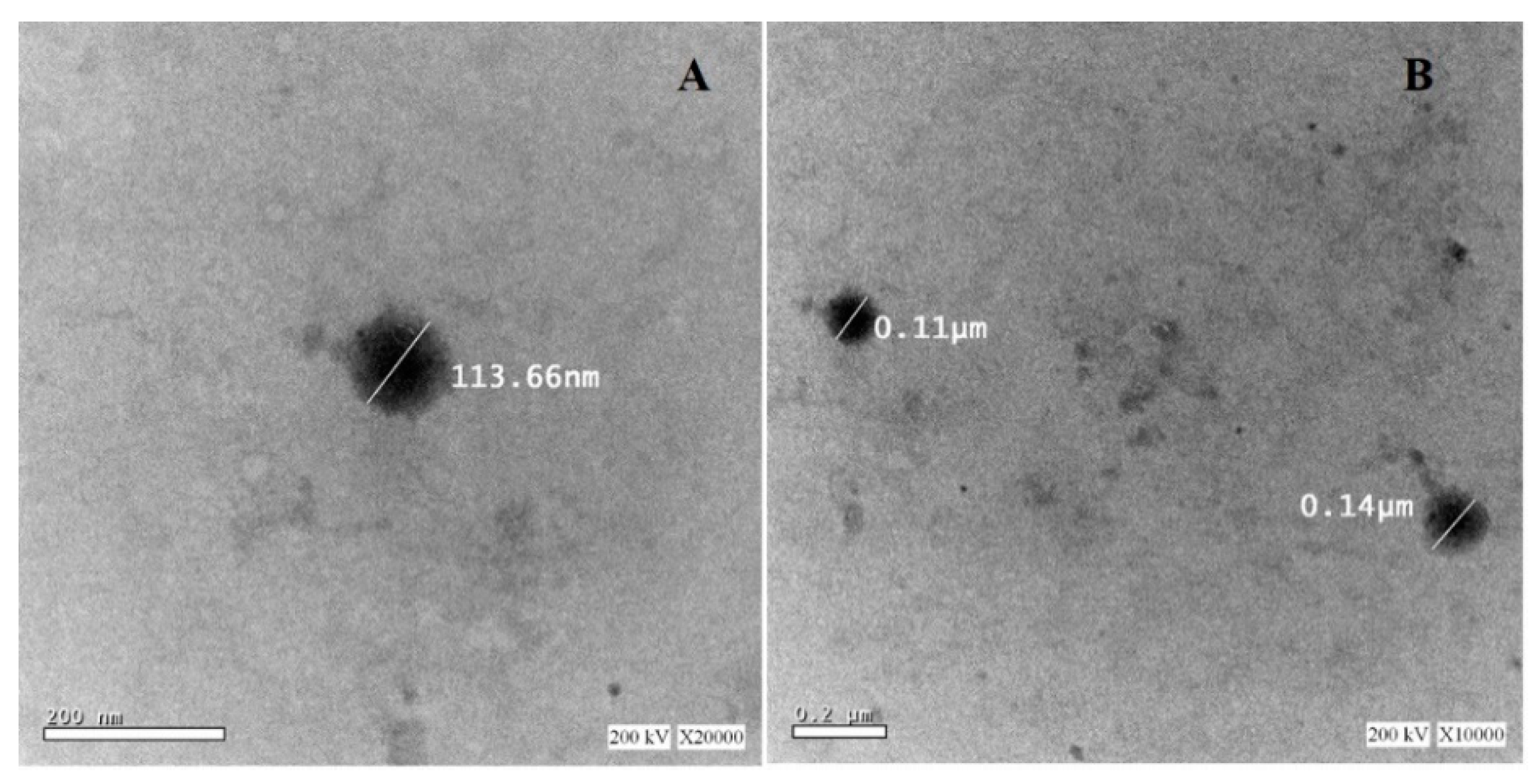Pharmaceutics 13 00151 g006