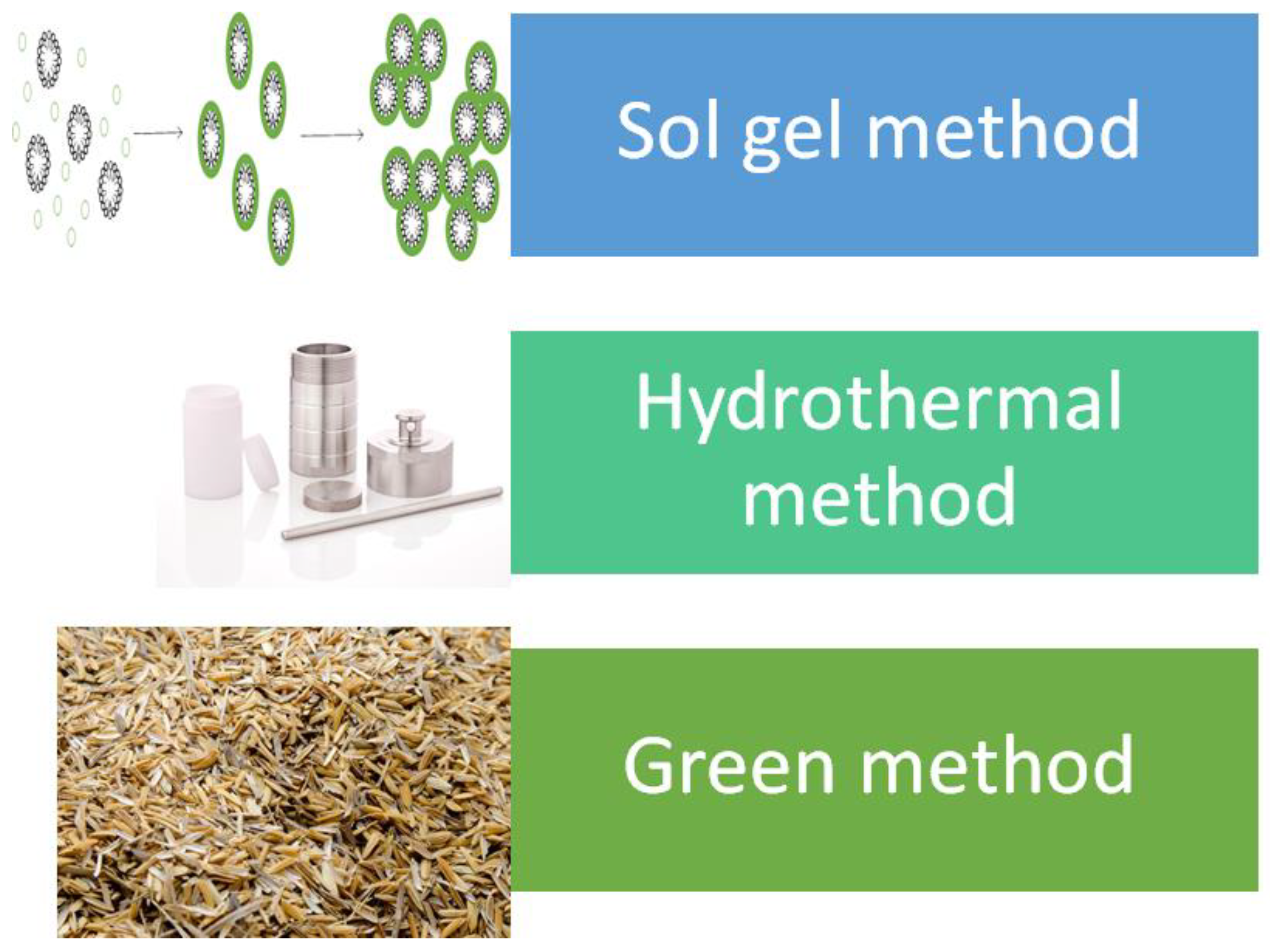 Pharmaceutics 13 00152 g001