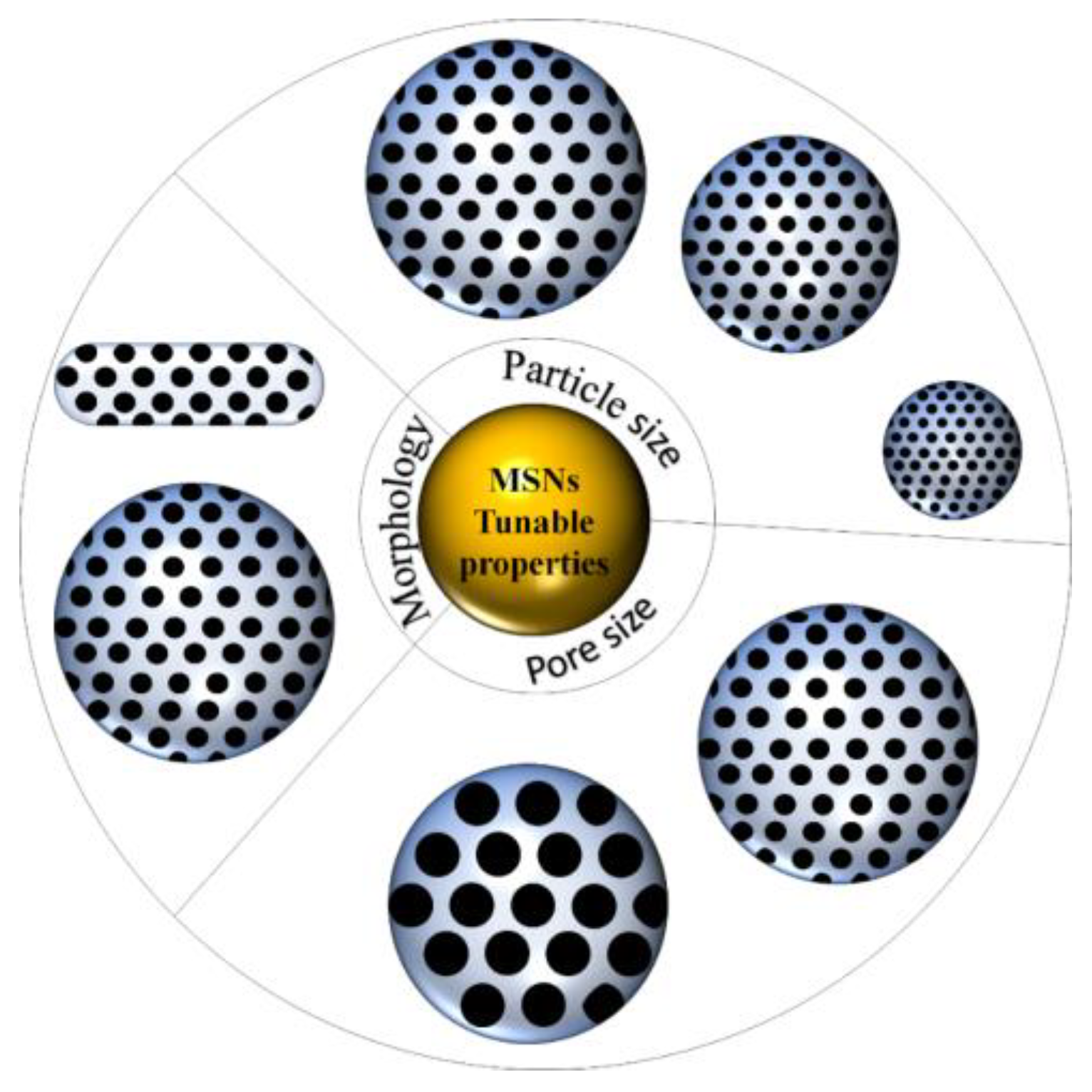 Pharmaceutics 13 00152 g002