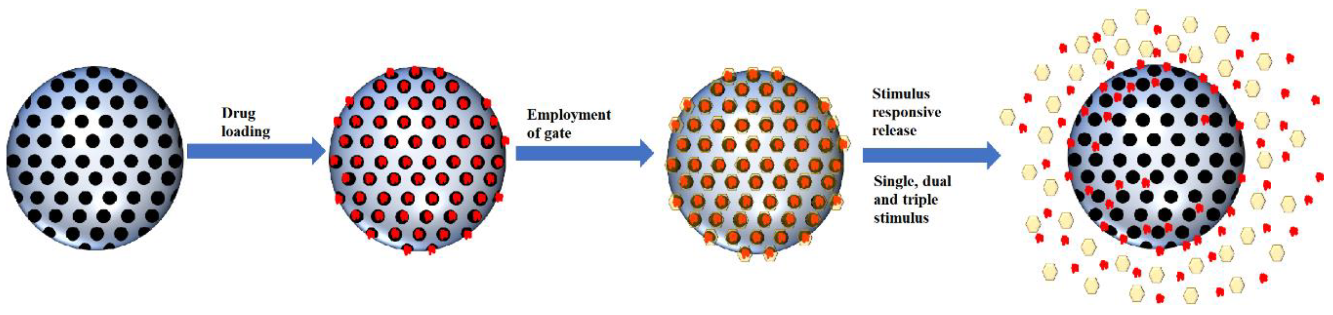 Pharmaceutics 13 00152 g004