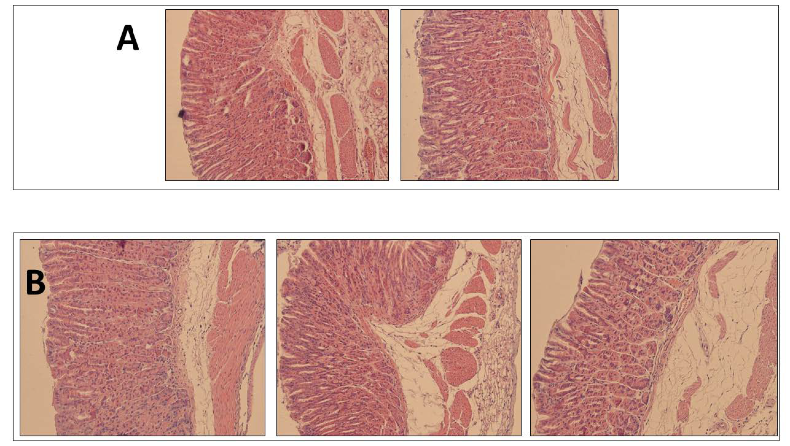 Pharmaceutics 13 00153 g005