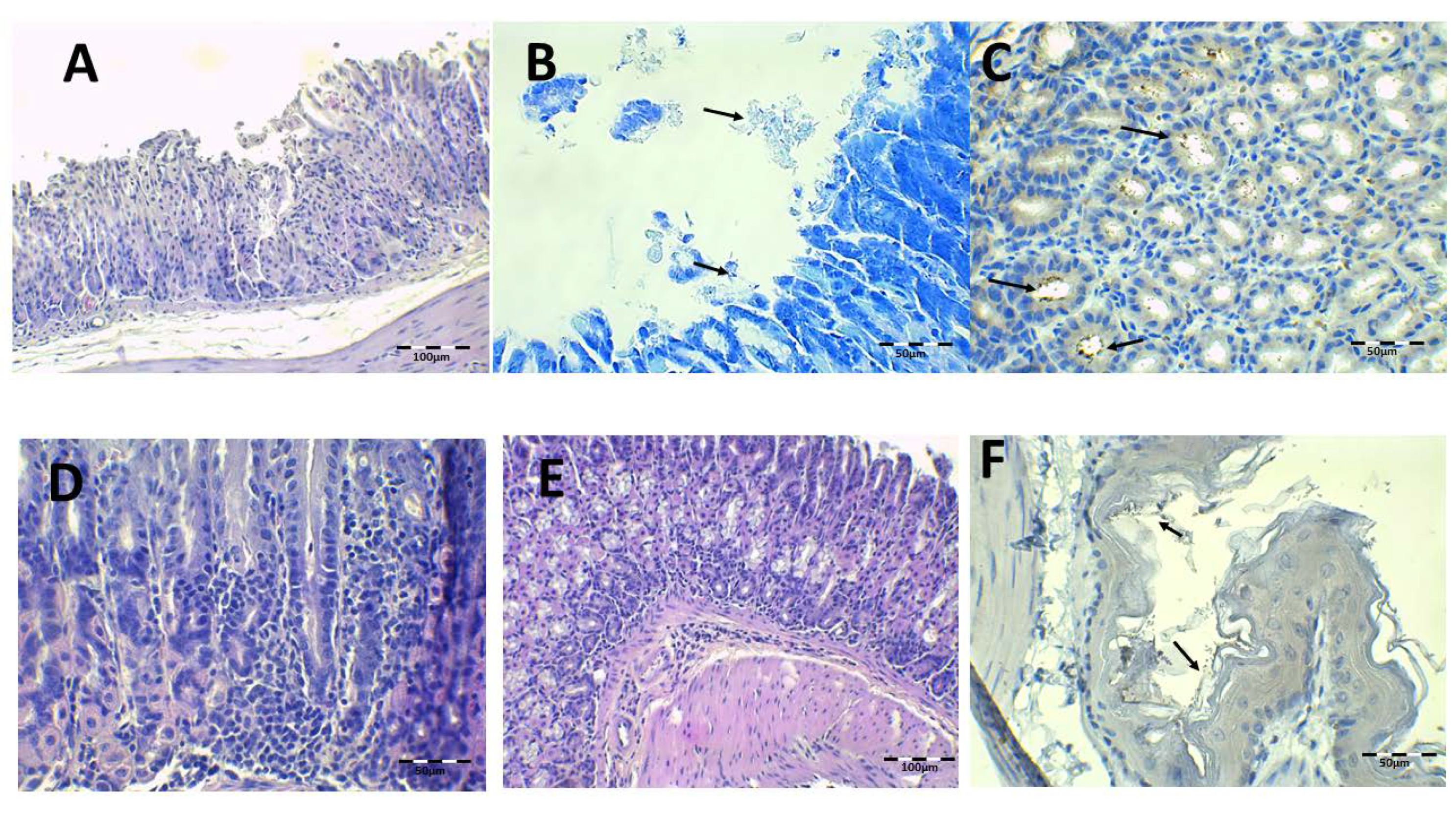 Pharmaceutics 13 00153 g009