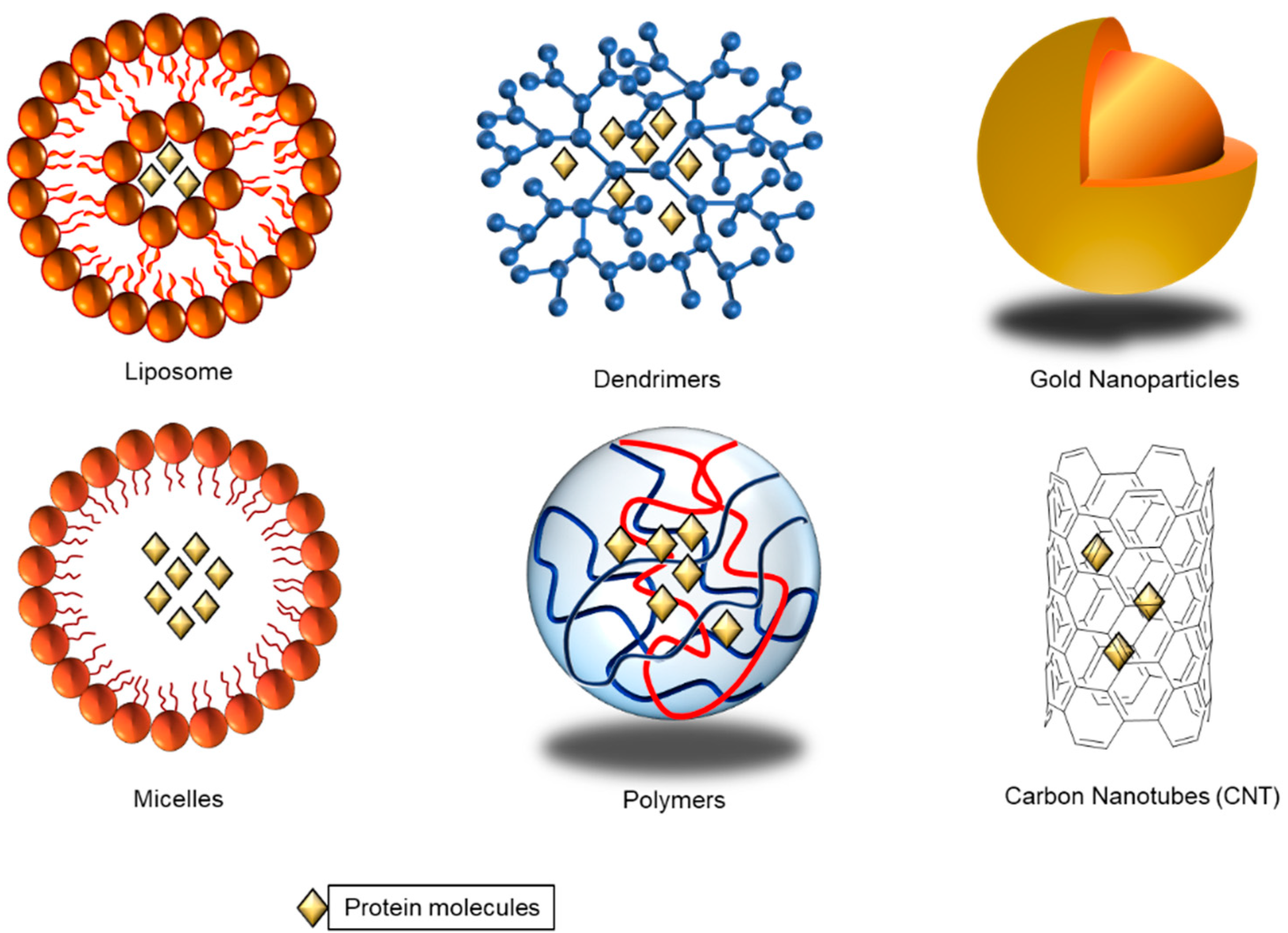 Pharmaceutics 13 00155 g001 Pharmaceutics 13 00155 g001