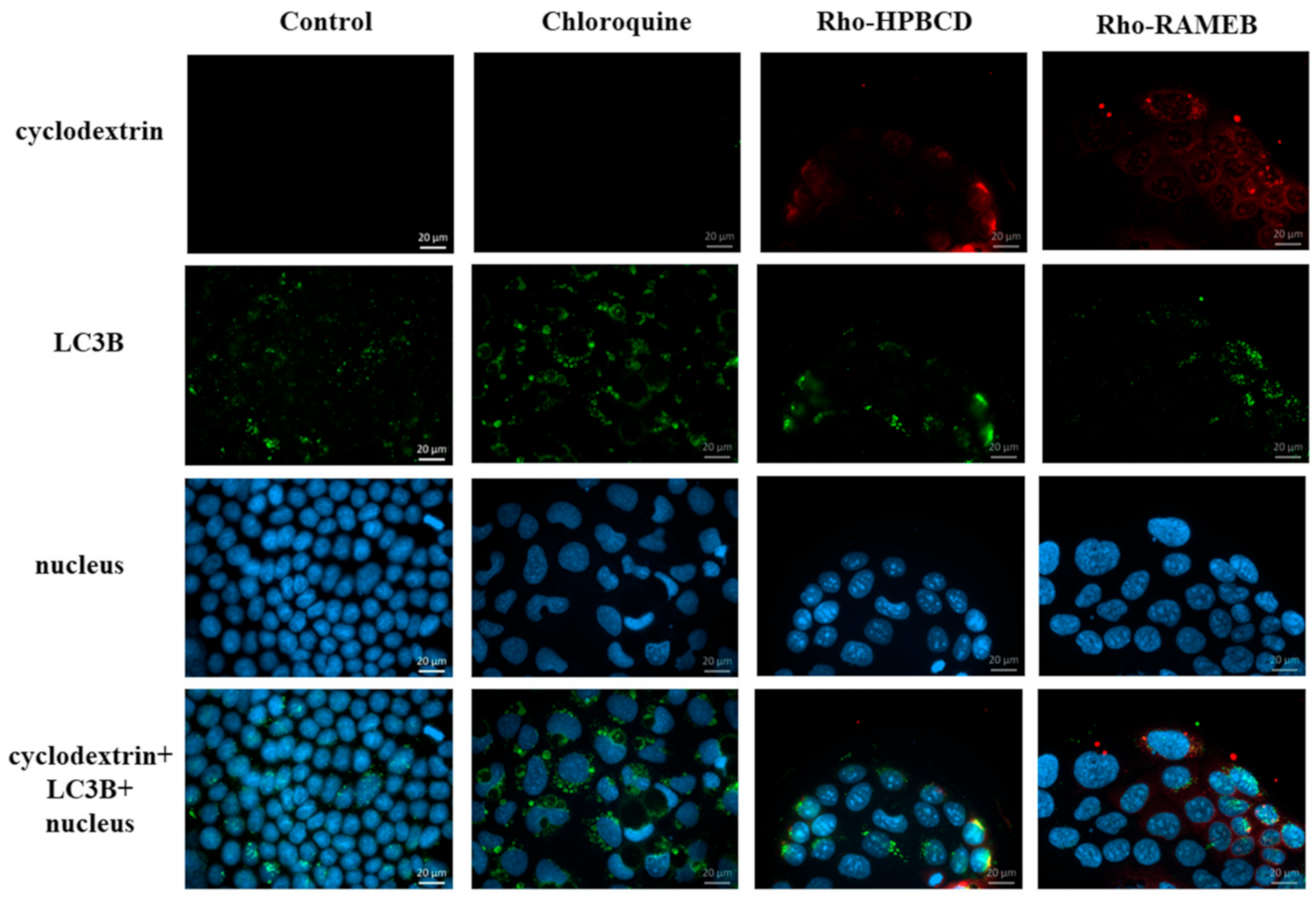 Pharmaceutics 13 00157 g006