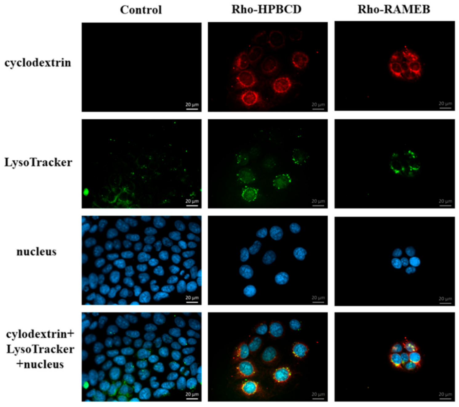 Pharmaceutics 13 00157 g008
