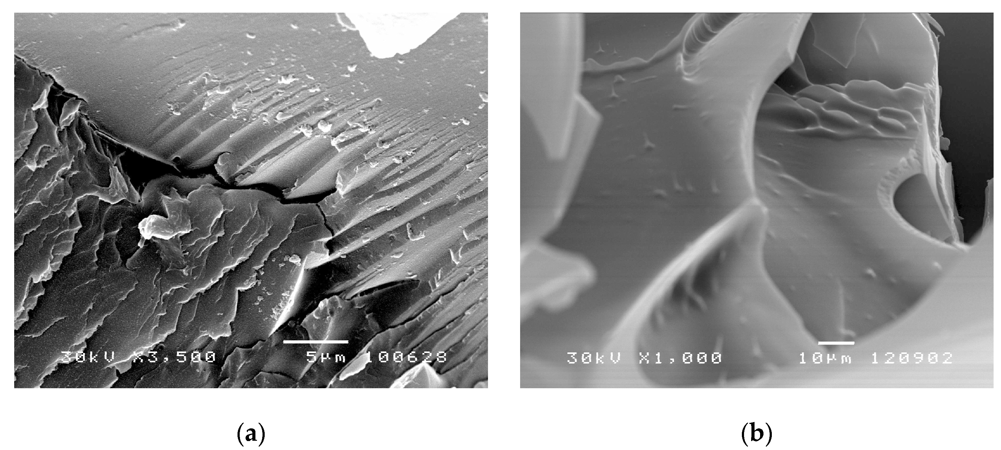 Pharmaceutics 13 00158 g005