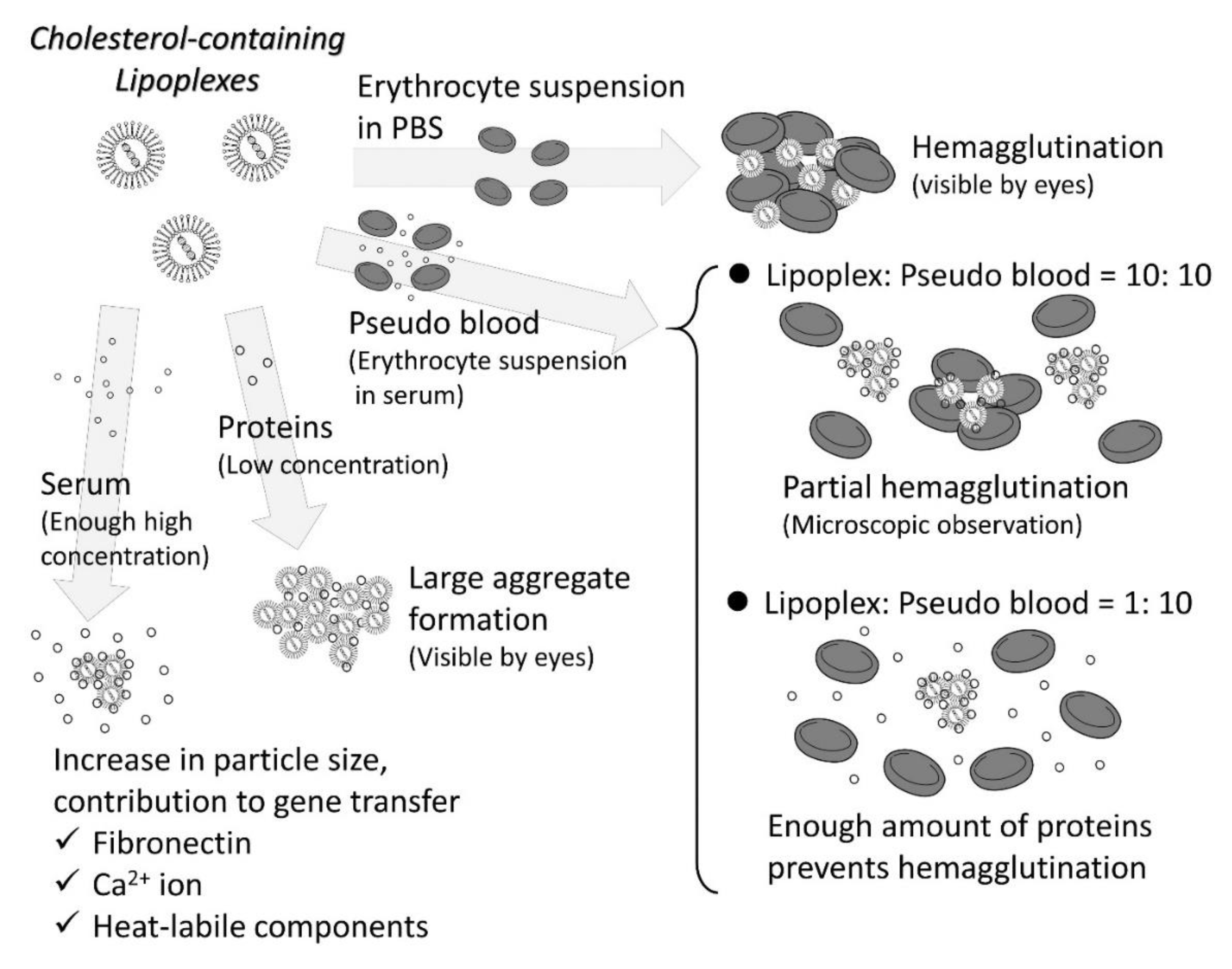 Pharmaceutics 13 00159 g003