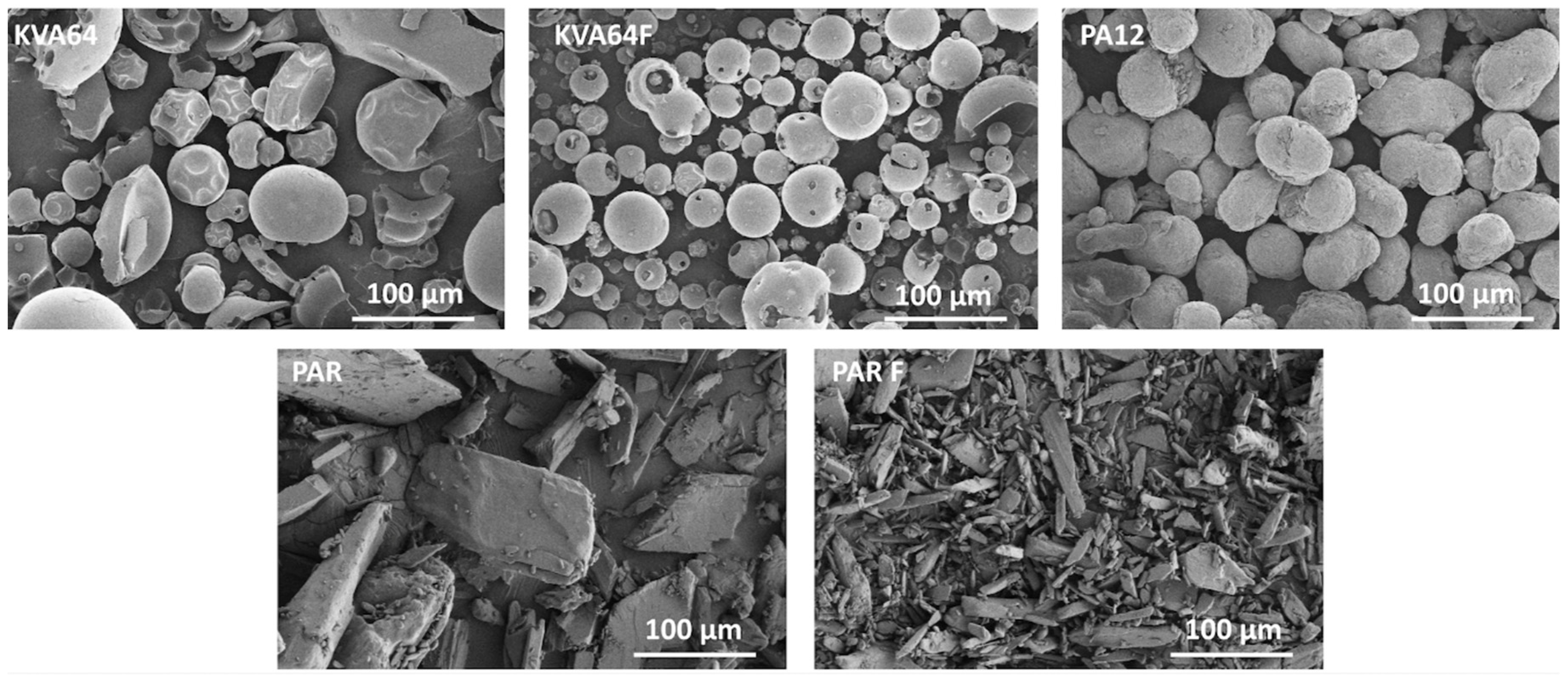 Pharmaceutics 13 00160 g002